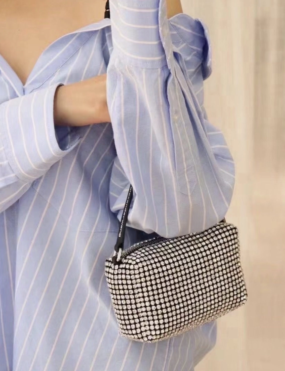 訂貨 ✨ Alexander Wang 經典款 水鑽手挽袋 超Blink Blink Size 17x10cm