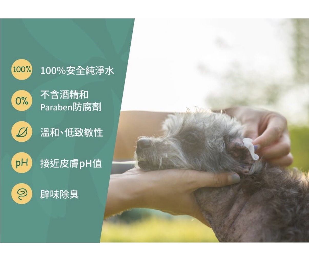 （貓狗可用） Nurture Pro AG+ 銀離子寵物親膚消毒濕紙巾 - 10片裝