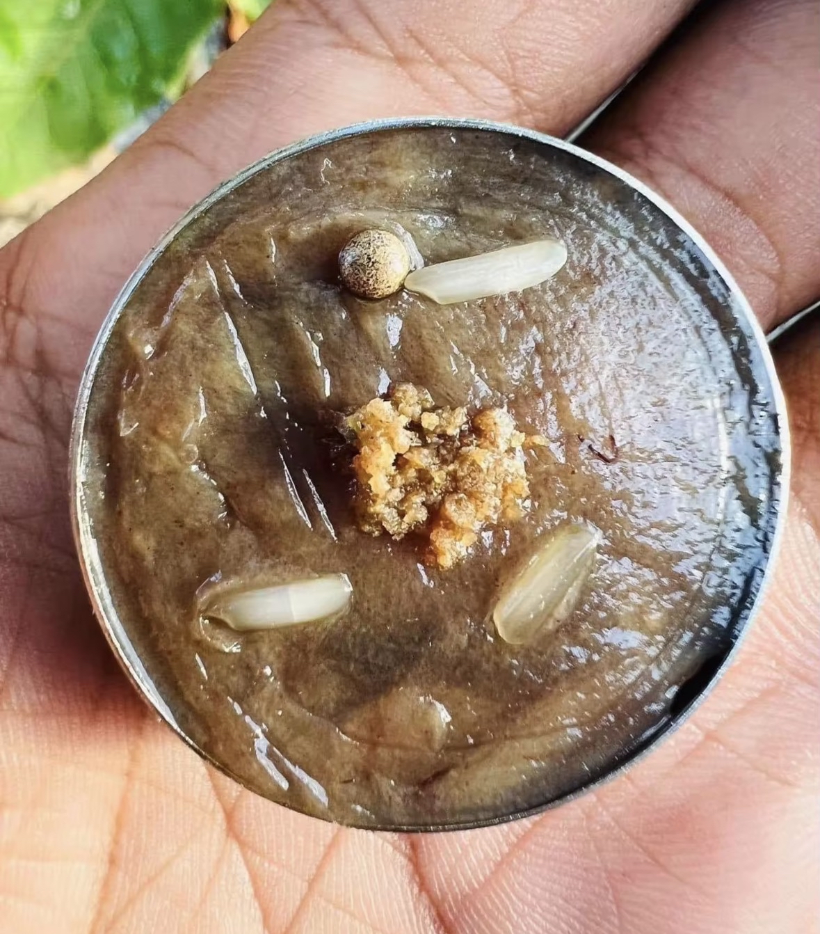 三師派格攝三次法會開光 泰南名師 :龍婆巴素 曼谷名師:阿贊添 瓦考奧白衣 阿贊念兌 Ajahn Naen Doi