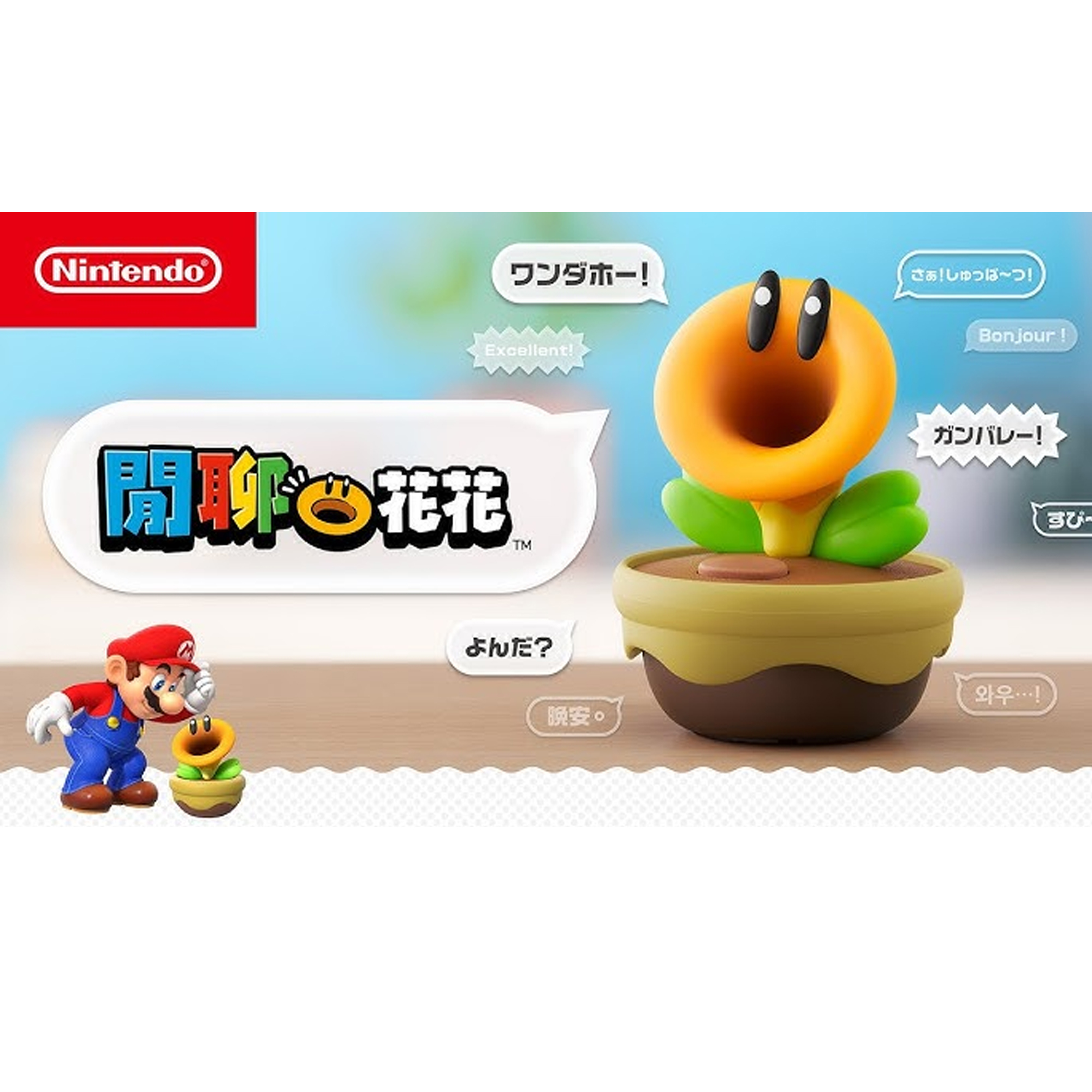 【預訂】閒聊花花｜Nintendo