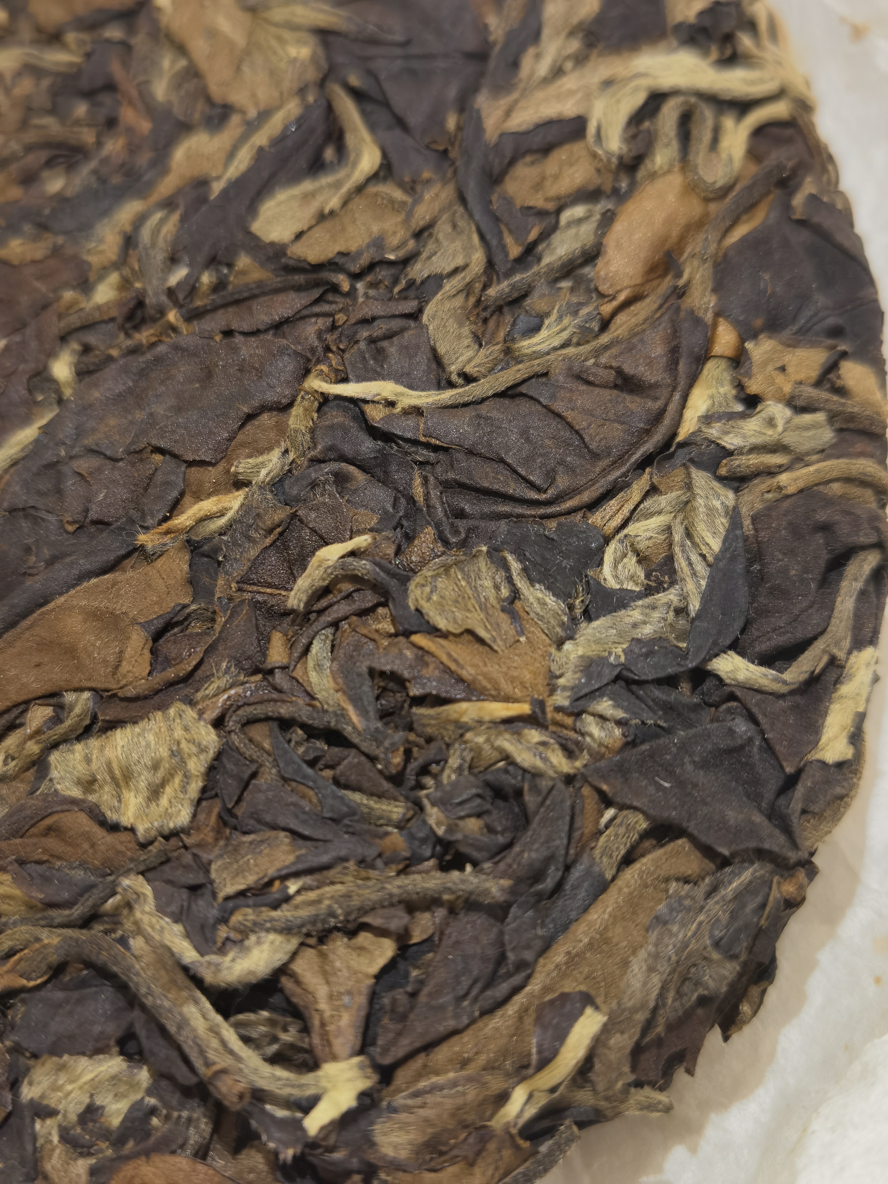 2018年 古樹白茶 (自家收藏)