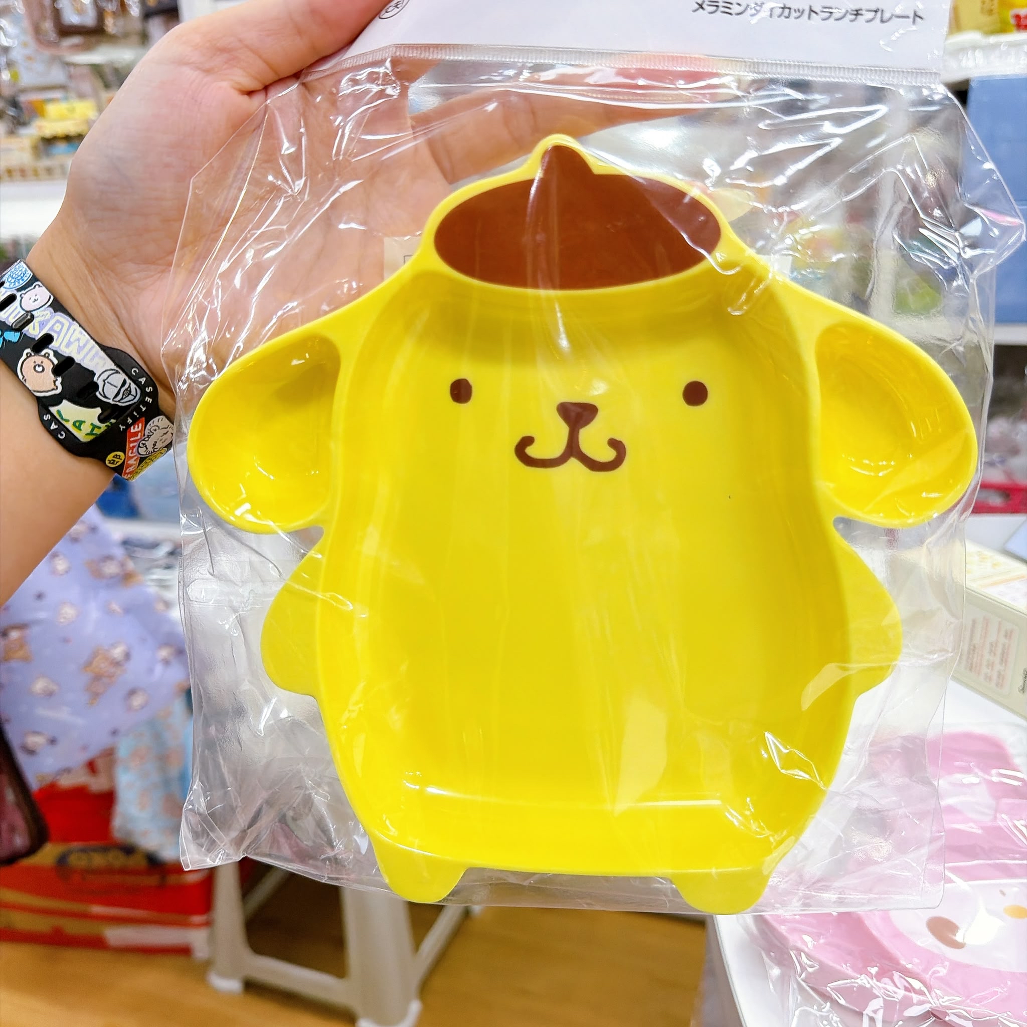 日本直送日本版skater Sanrio 碟