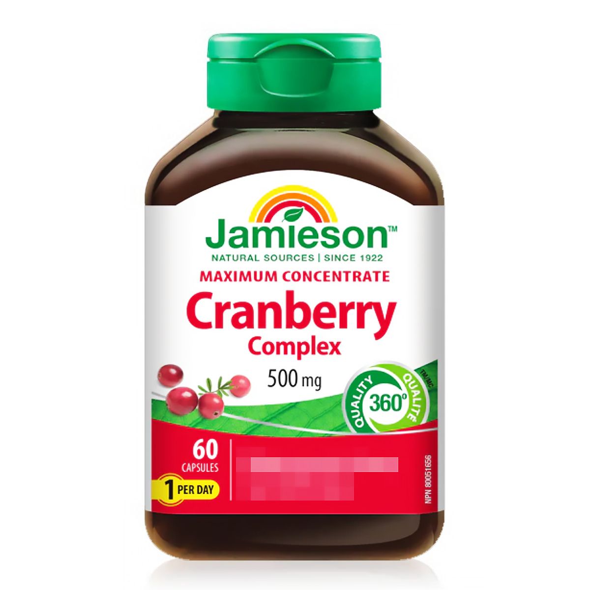 (NS)加拿大 Jamieson 增美神濃縮蔓越莓複合膠囊 500mg 60粒 新版