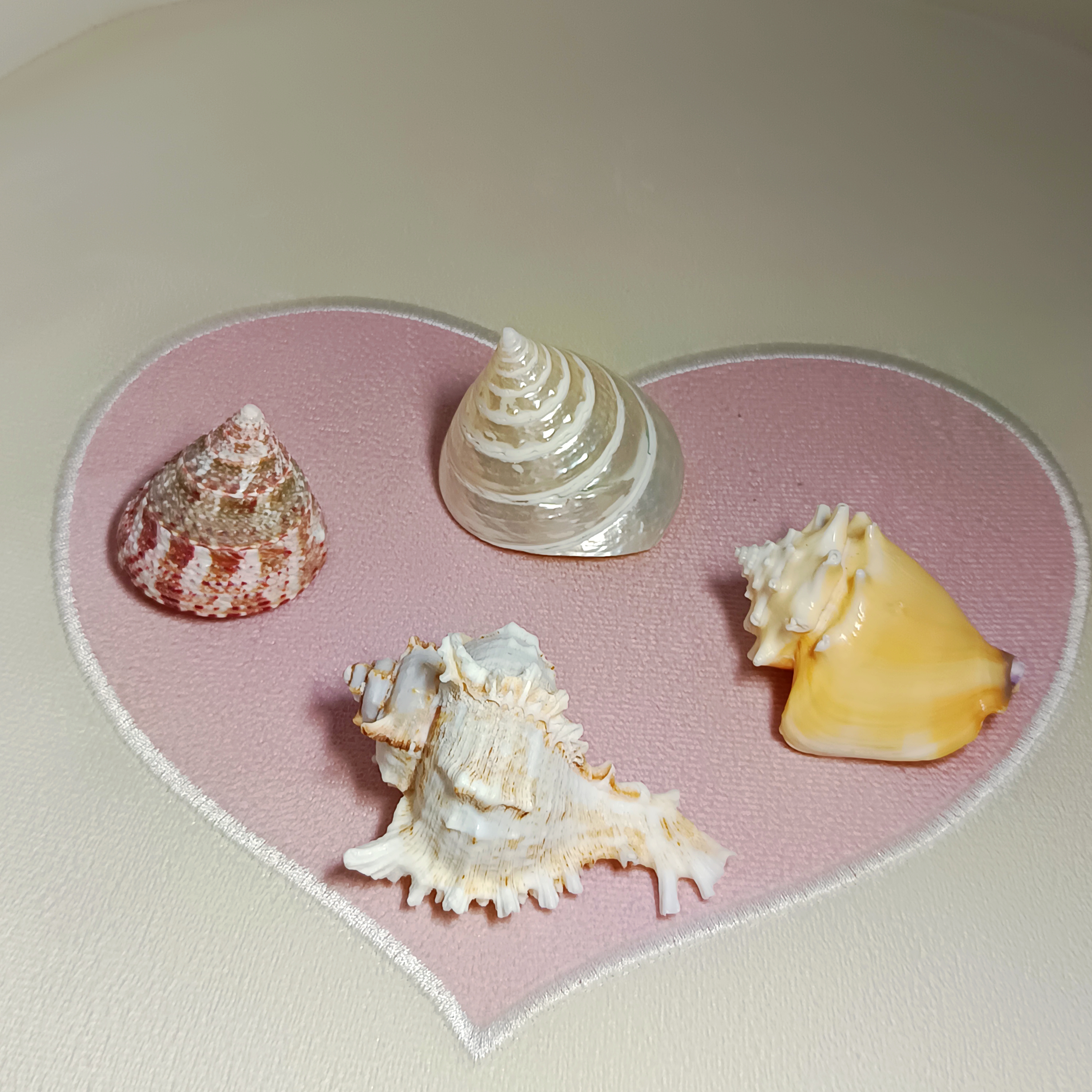 天然真海螺4件套