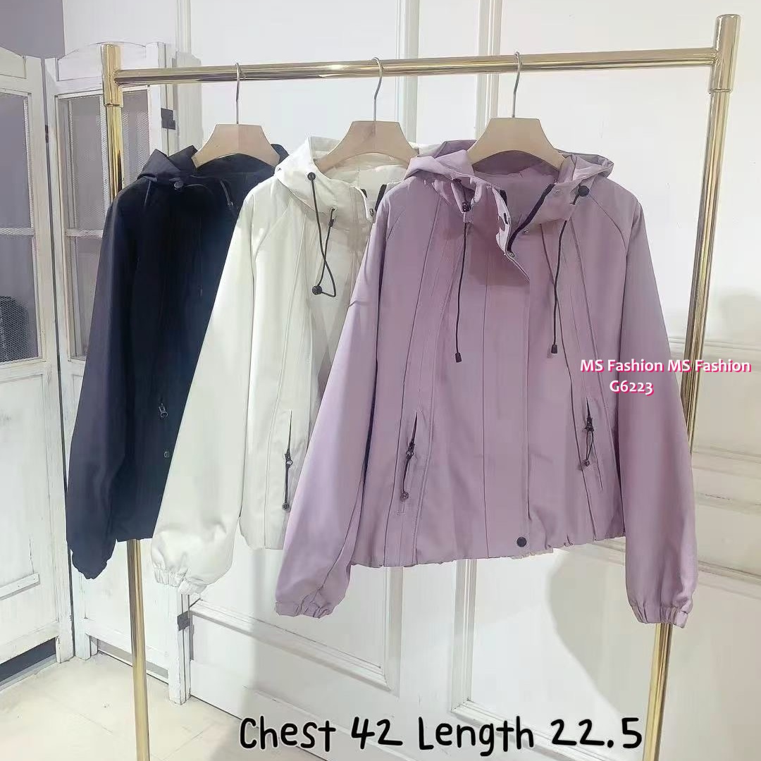 G6223 韓國🇰🇷靚色挺料外套