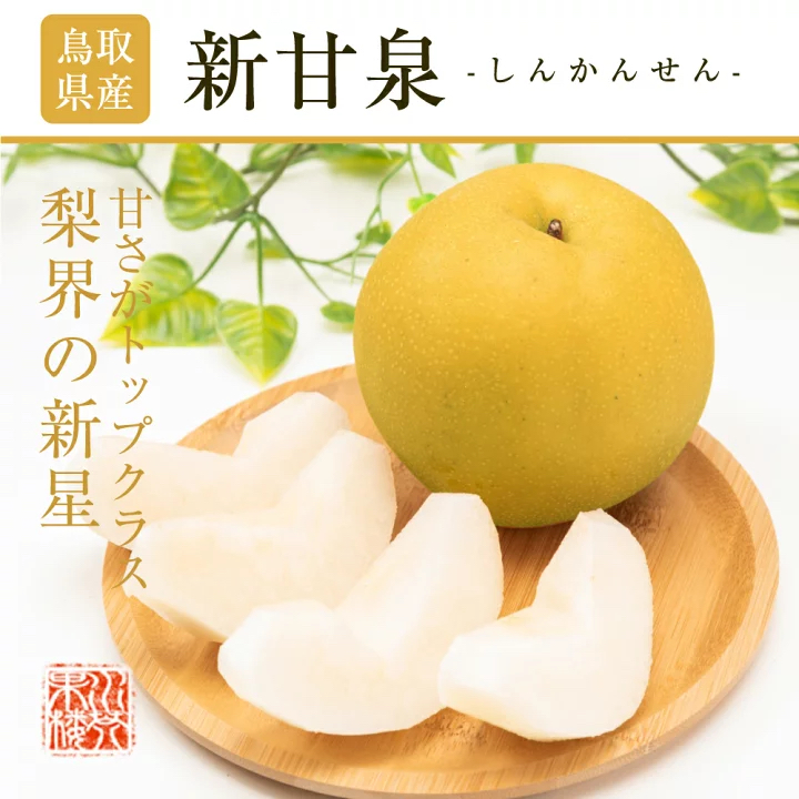 5kg 日本新甘泉梨（12/14玉）$598/箱