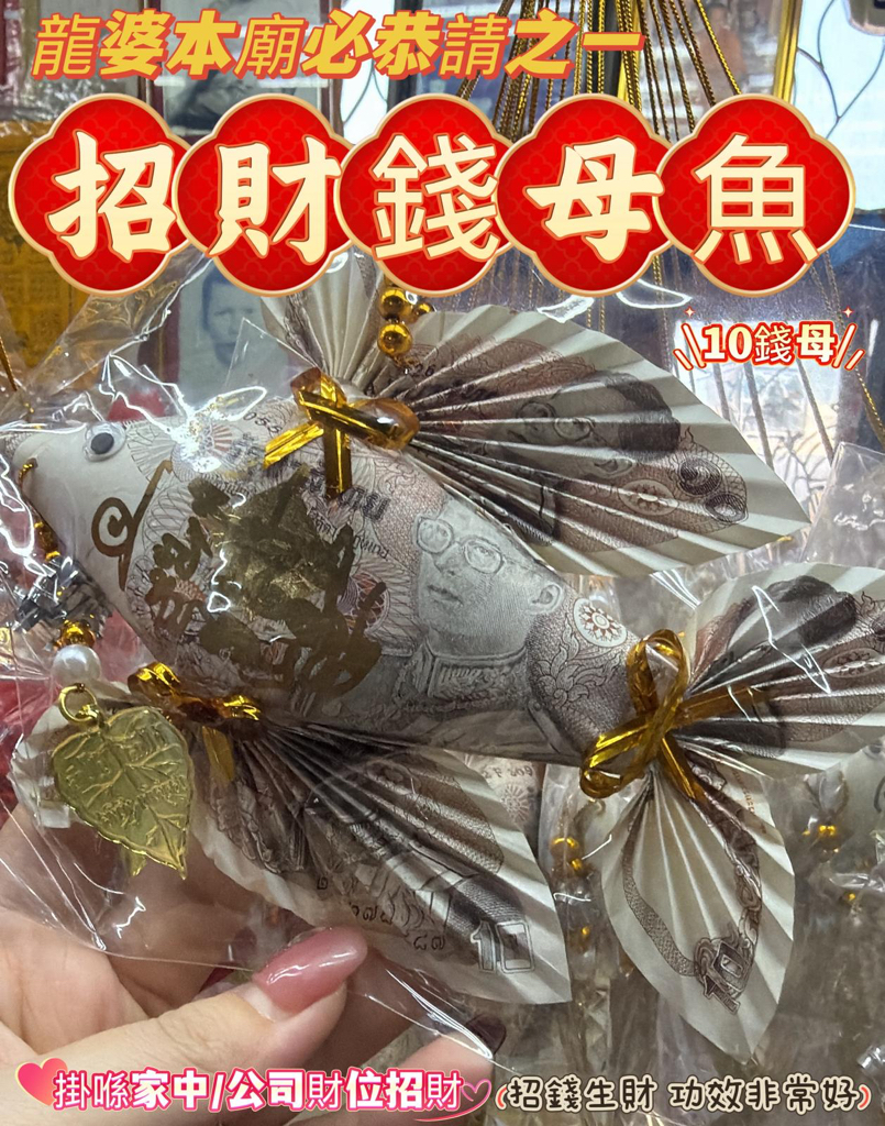 ✴️龍婆本廟供請✴️ 招財錢母魚✨
