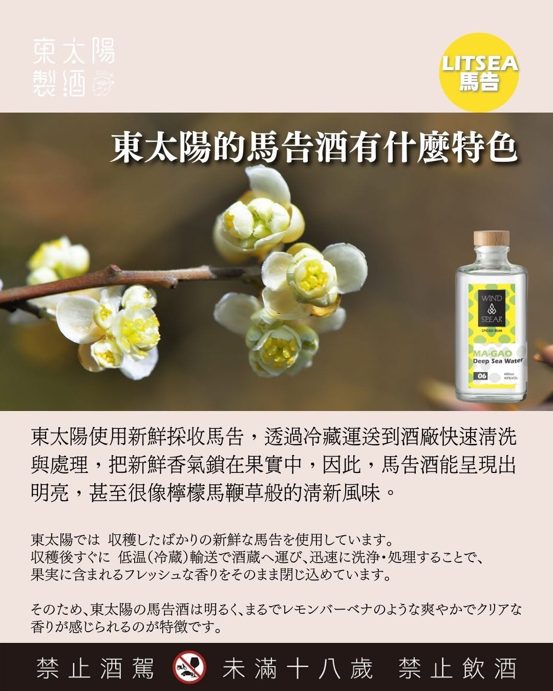 Wind Spear No.6 - Ma-Gao 獵風6號 - 馬告