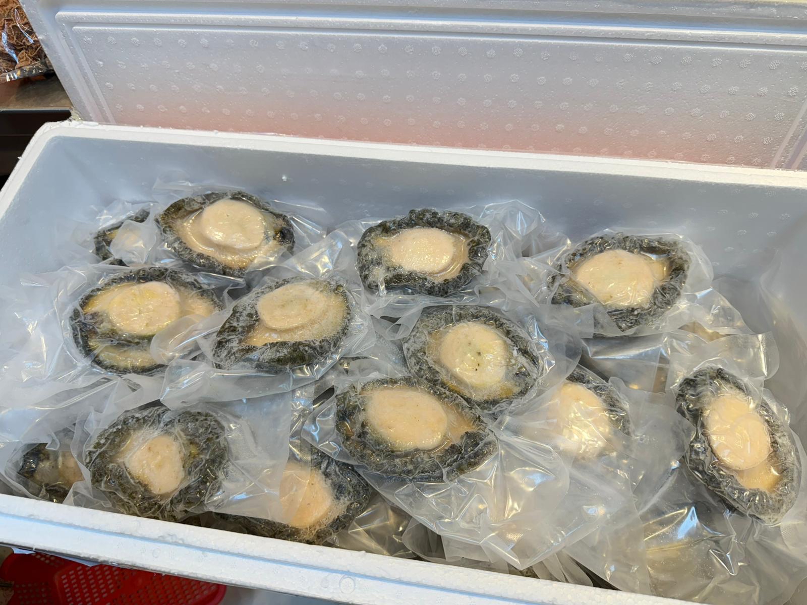 急凍野生南非鮑