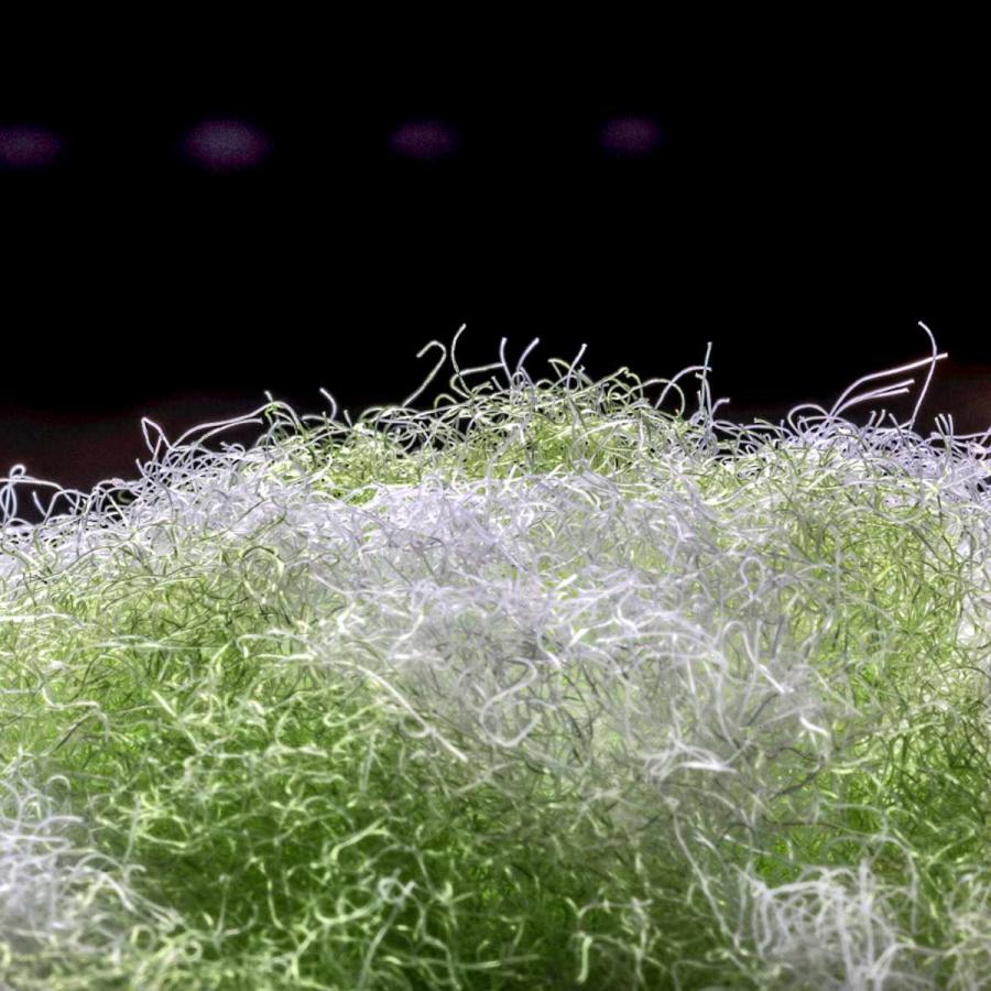 【現貨】🔥🔥【日本製《SANKO》多用途掛式除垢刷】