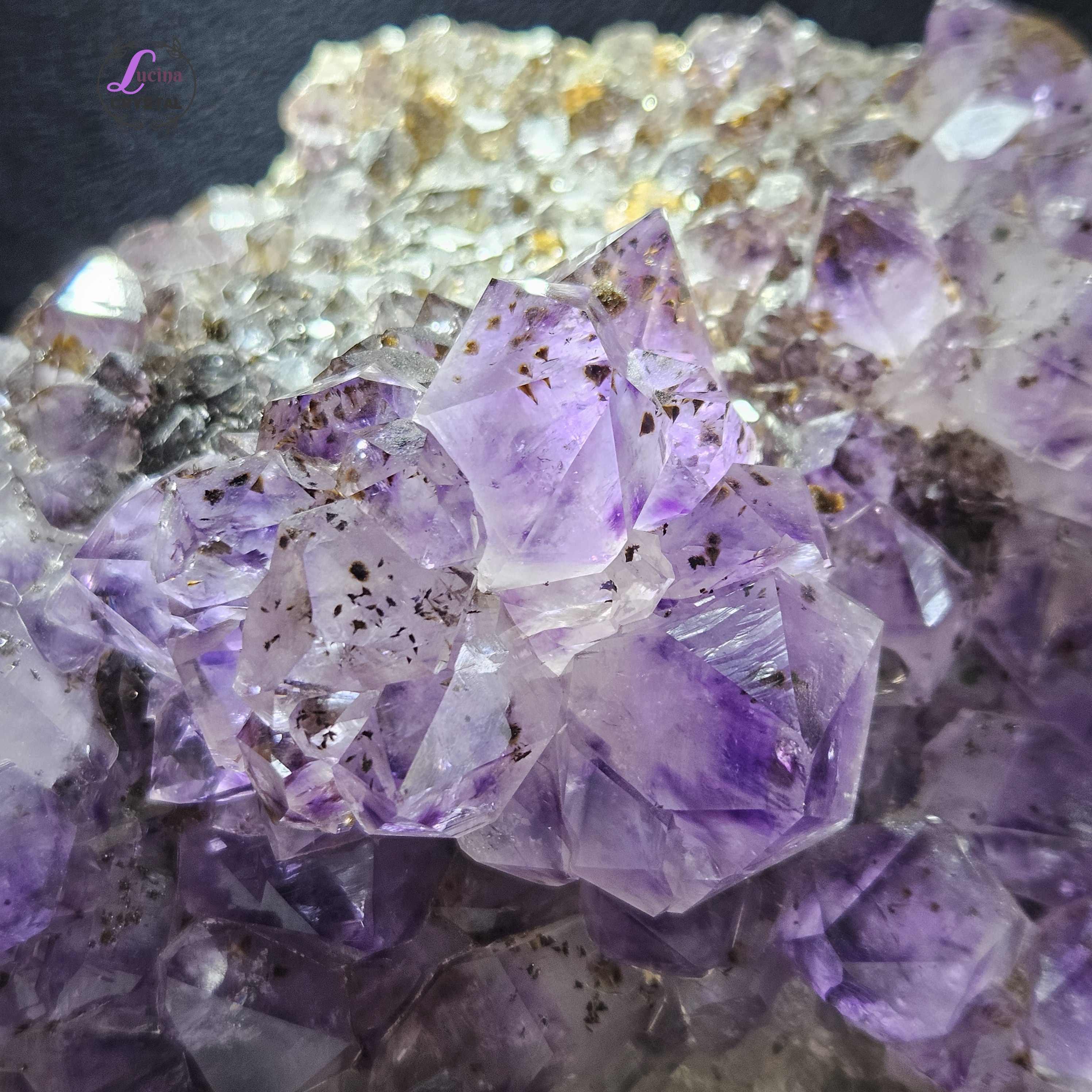 (Co#LC8556)紫鈦骨幹花水晶簇連木座/Elestial Amethyst Rutilated Flower Quartz Cluster w/wooden stand 