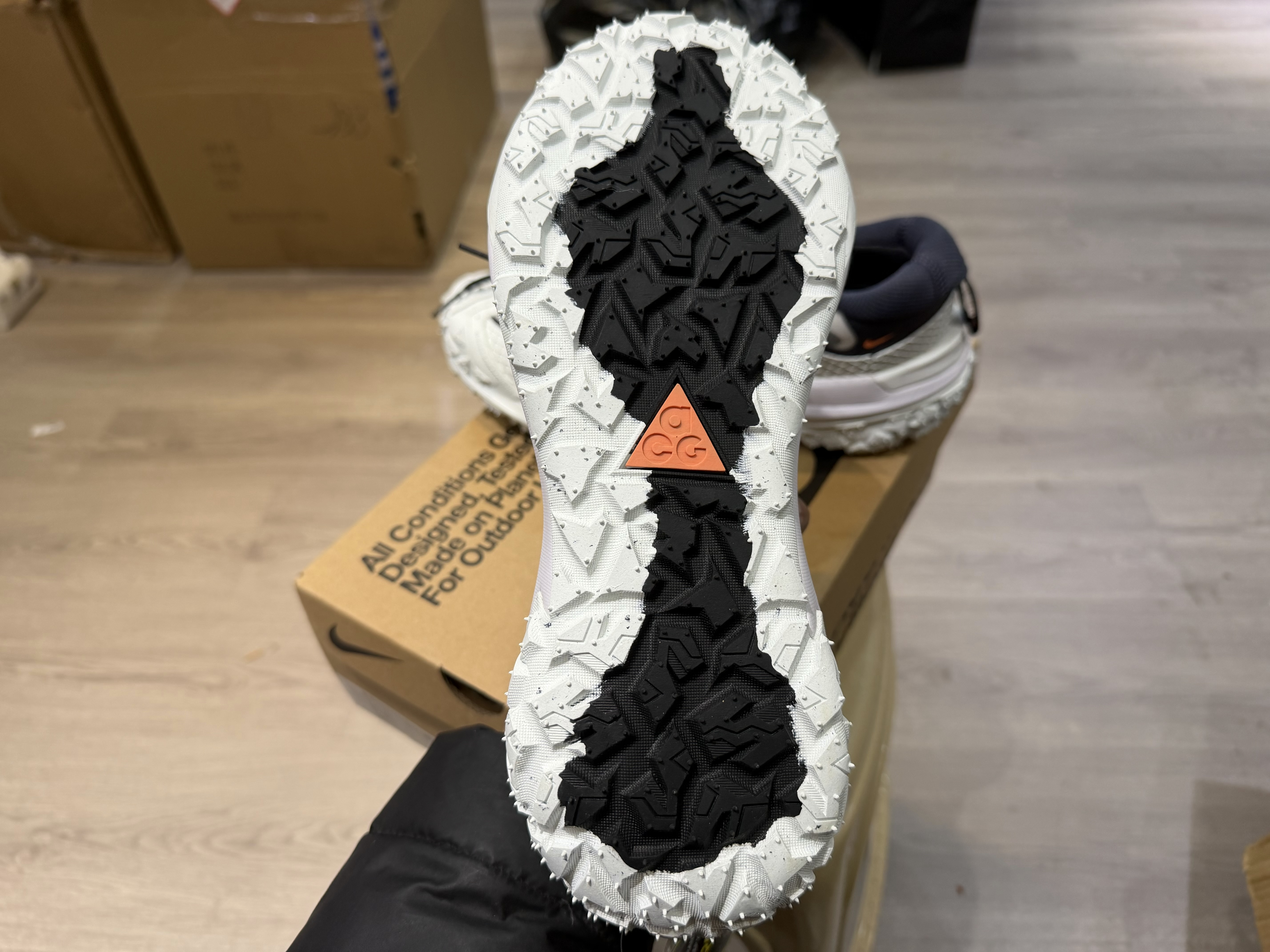 Nike ACG Mountain Fly 2 Low