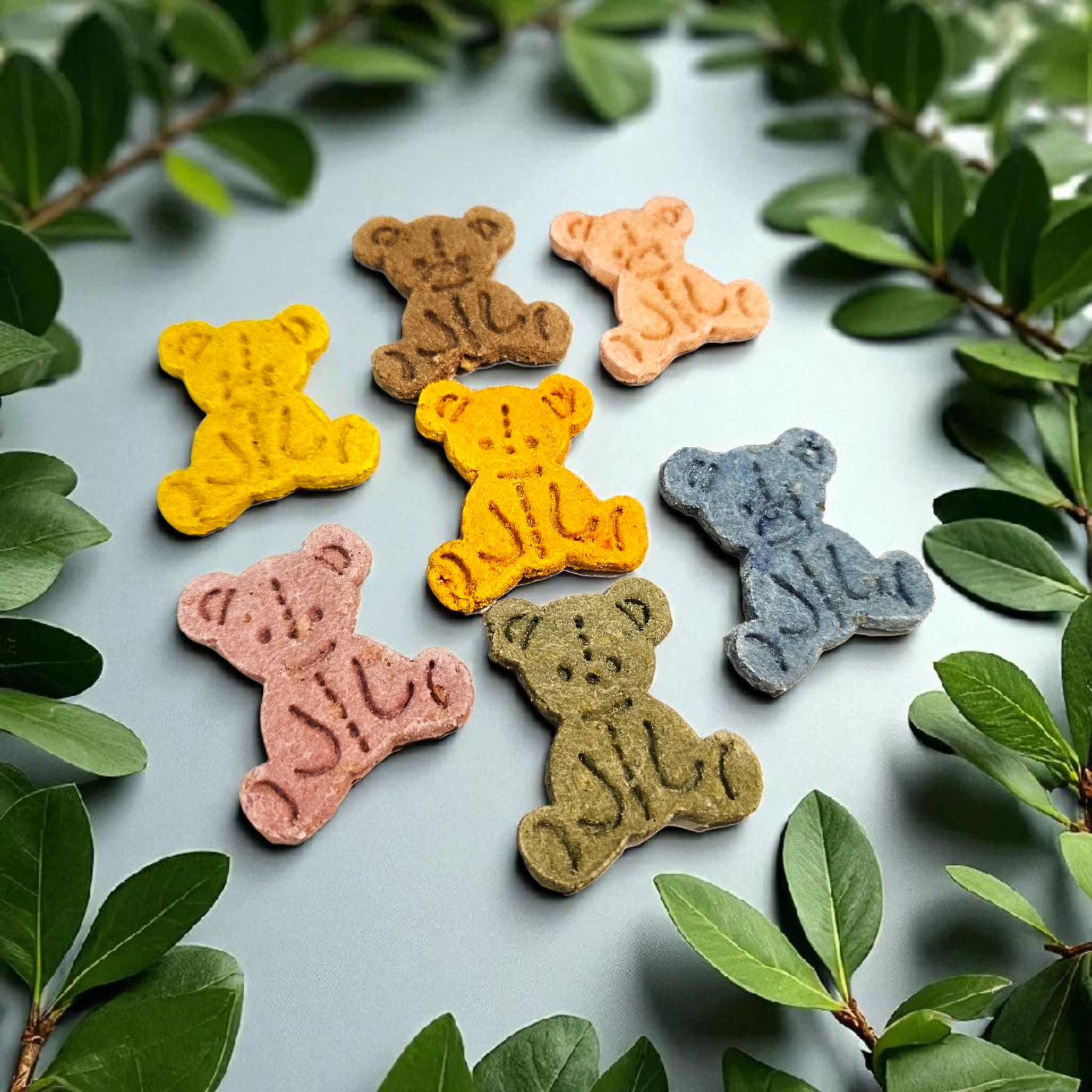 彩虹Bear Bear (市集裝)