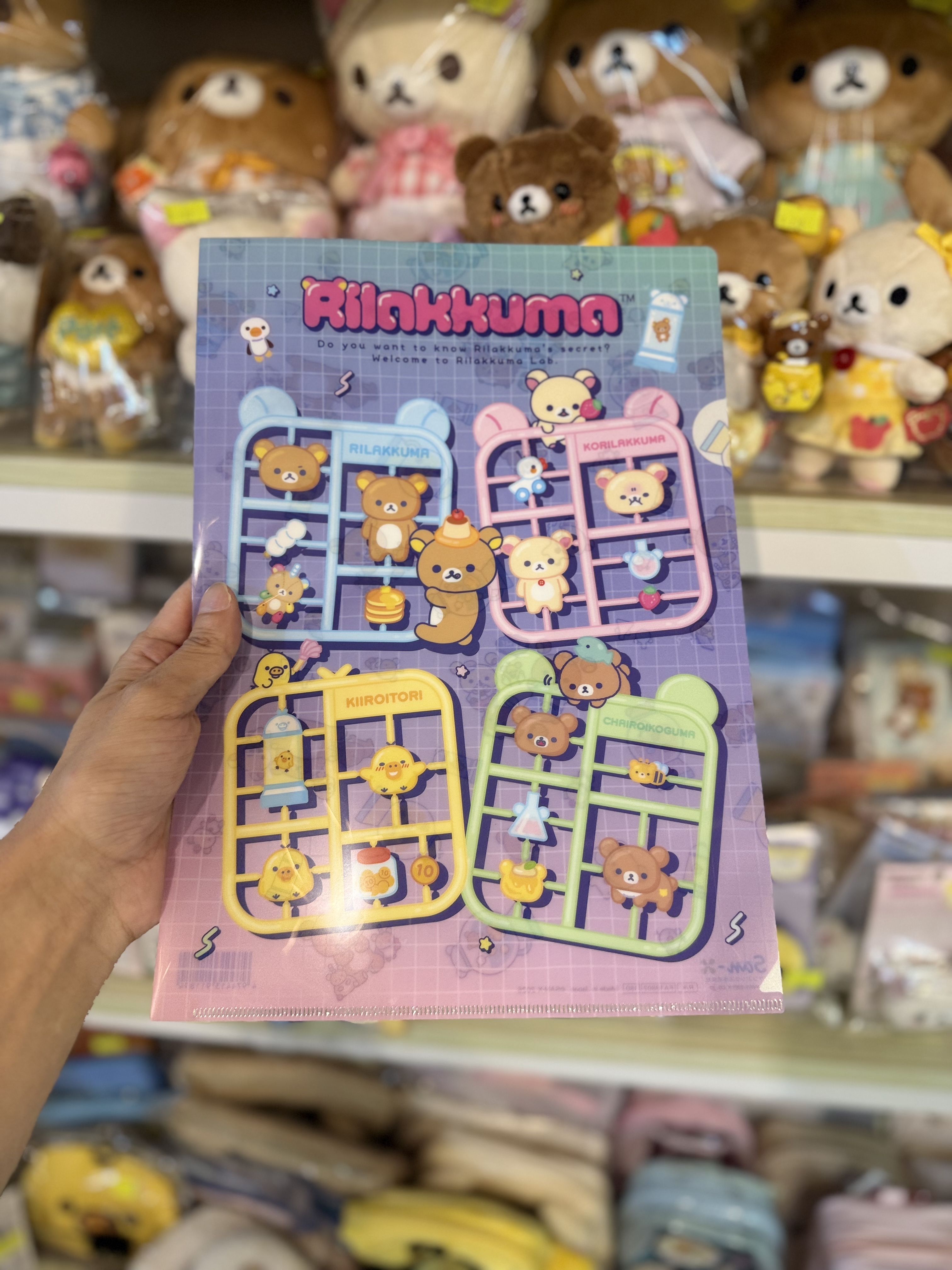 《現貨》全新rilakkuma 實驗室系列A4 單頁file