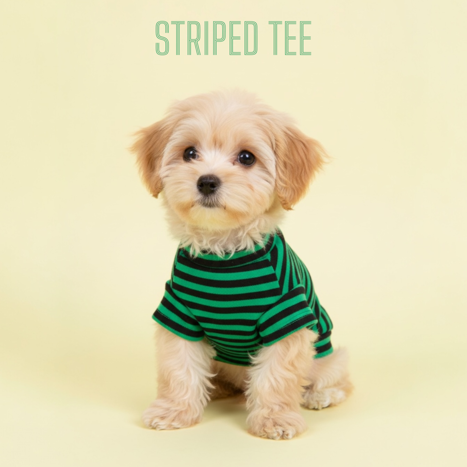 S585GN 條子有袖TEE(綠色) TEE with striped sleeves (green)