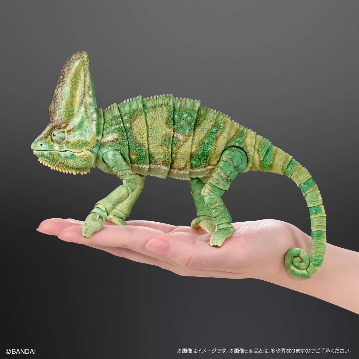 (預訂訂金 $200) (總價 $605) (Gashapon Online 限定) Bandai The Diversity of Life on Earth Premium Chamaeleo Calyptratus 生物大圖鑑 Premium 高冠變色龍 扭蛋 (行版) 