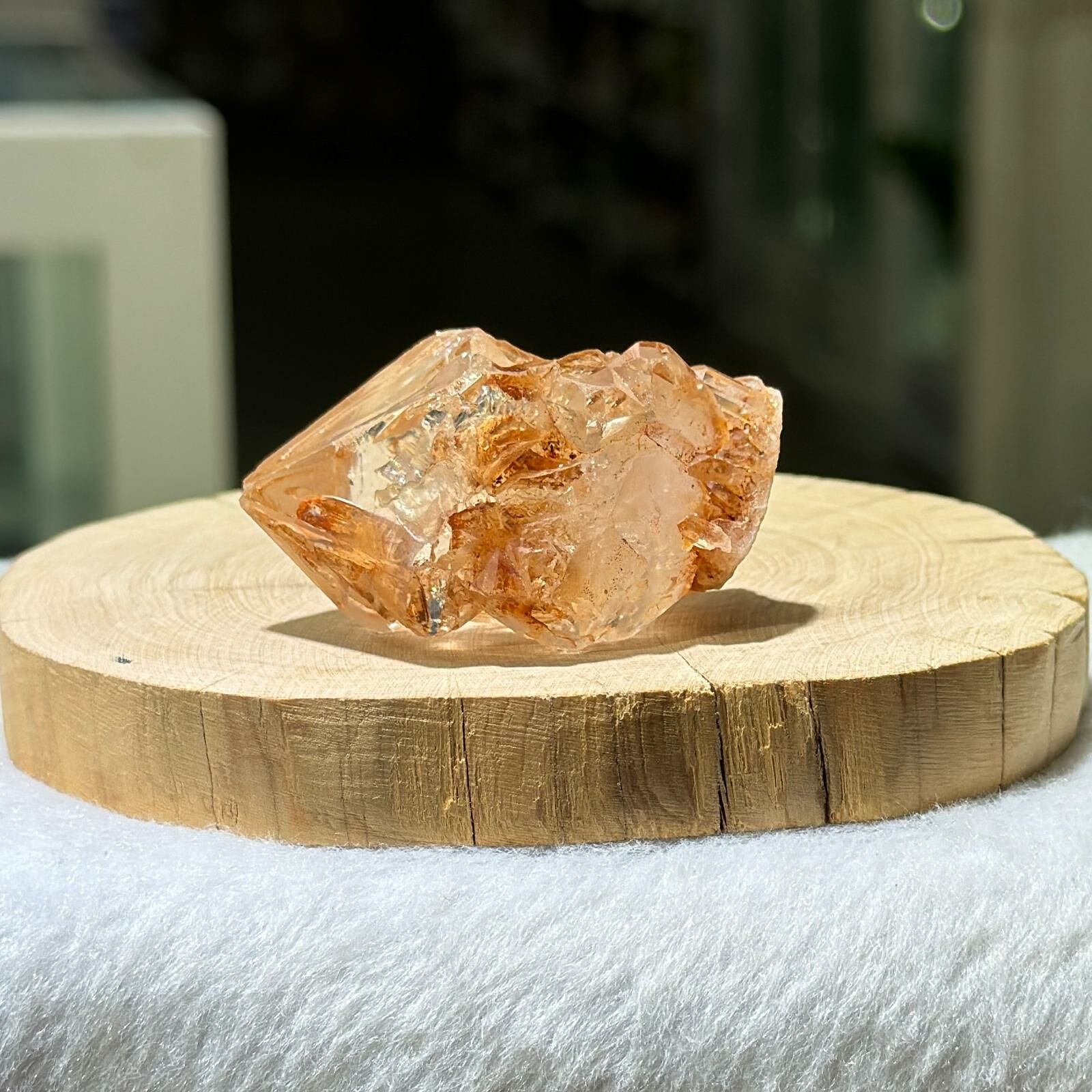 紅泥骸骨水晶 - 3