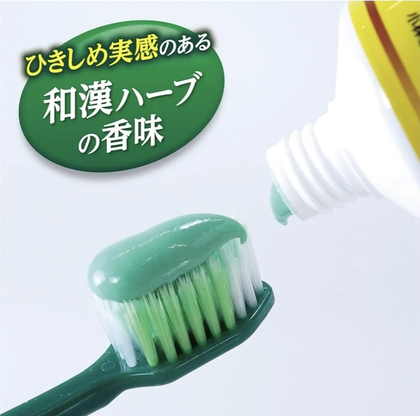 日本小林製藥 生葉EX 藥用牙膏 100g