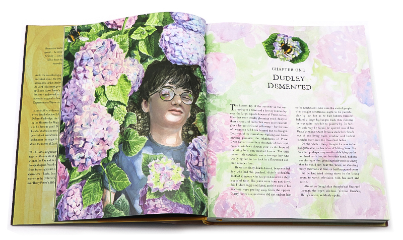 Harry Potter 哈利波特 1 2 3 4部曲 彩繪精裝插畫收藏紀念版 4 books 魔法石 密室 阿茲卡班囚徒 火焰杯