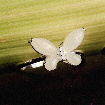 Harvest By Nature Ring H05 & H06 & H07