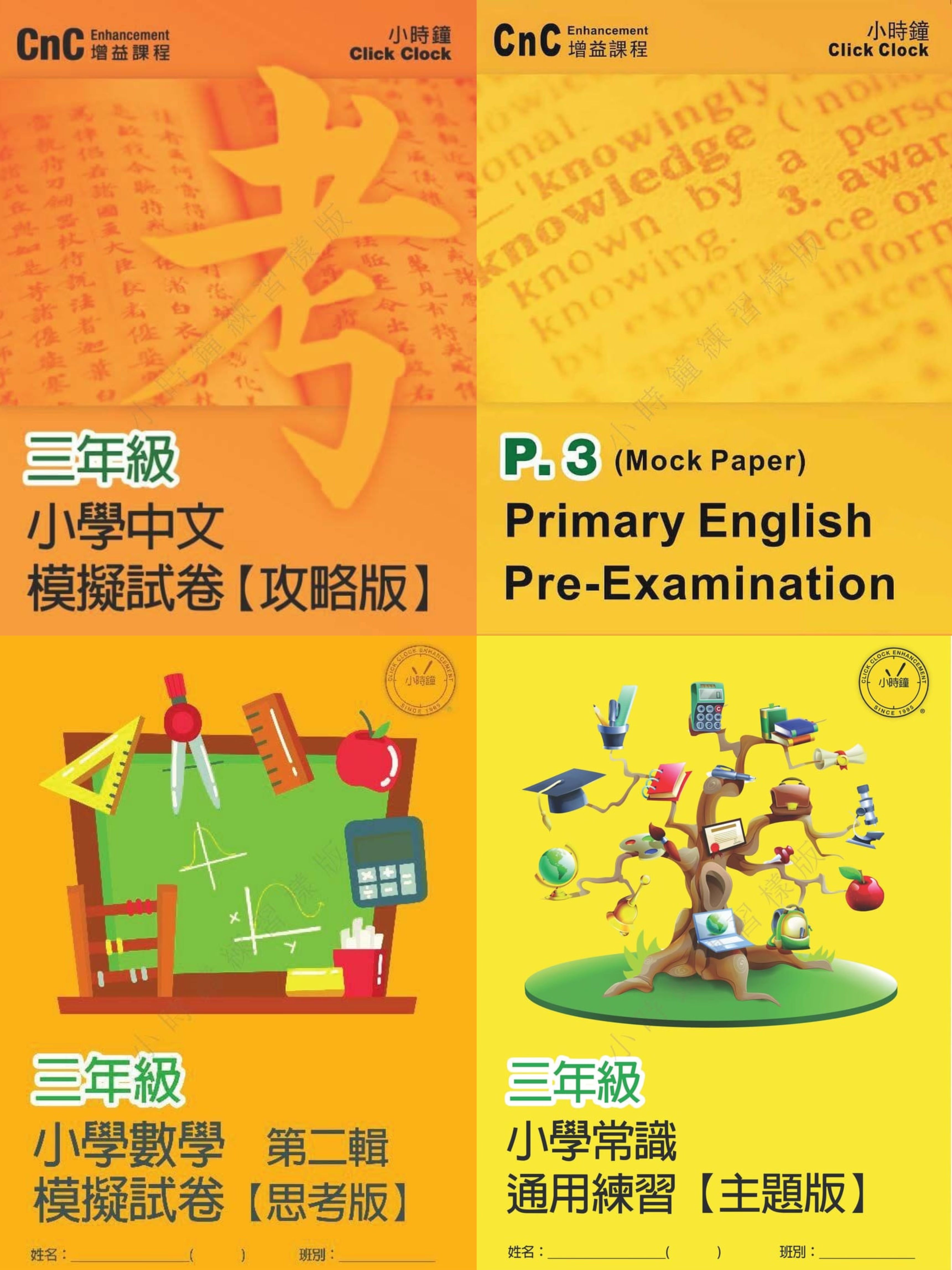  模擬試卷 (三年級)