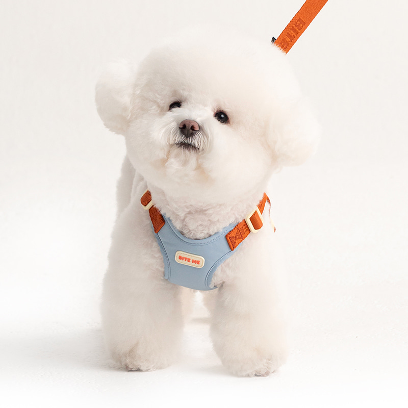 *預購 BiteMe🇰🇷 Comfort Leash v2 （ 3款 ）