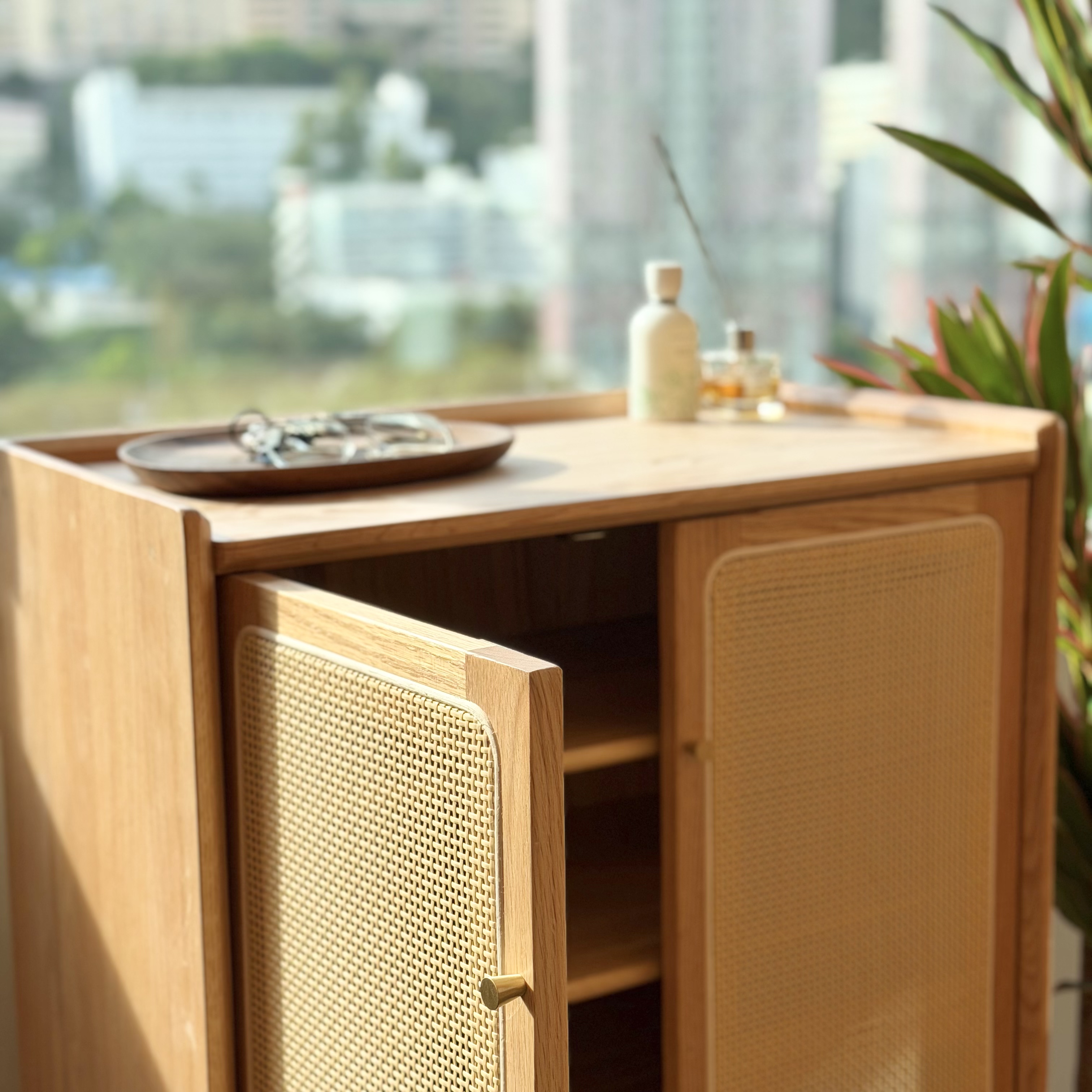 新品推介 SAIGON Shoe Cabinet 
