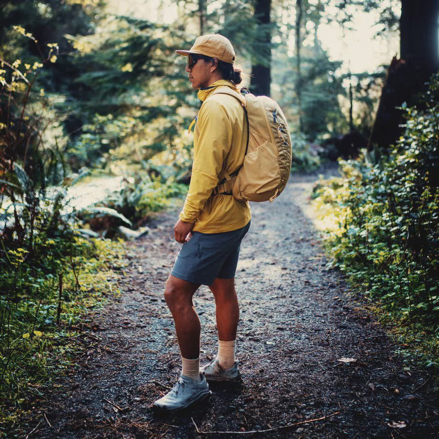 Gregory ARRIO 24 Backpack 行山背包