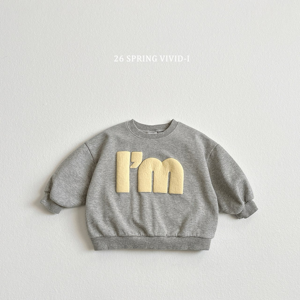 🌸預訂 韓國直送🌸🇰🇷VIVIDI三色立體字母印花寬鬆衛衣