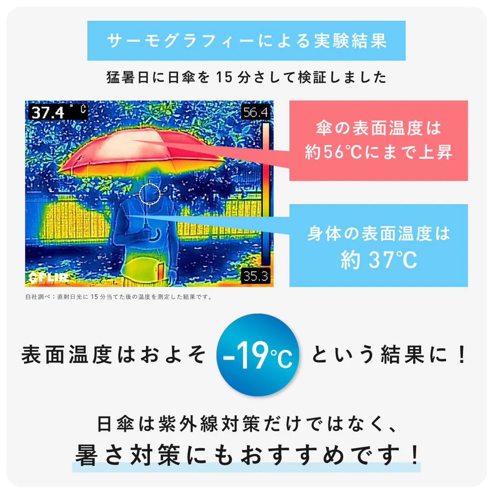 Waterfront 的 「富山雷神」（Toyama Thunder）Plus 加大