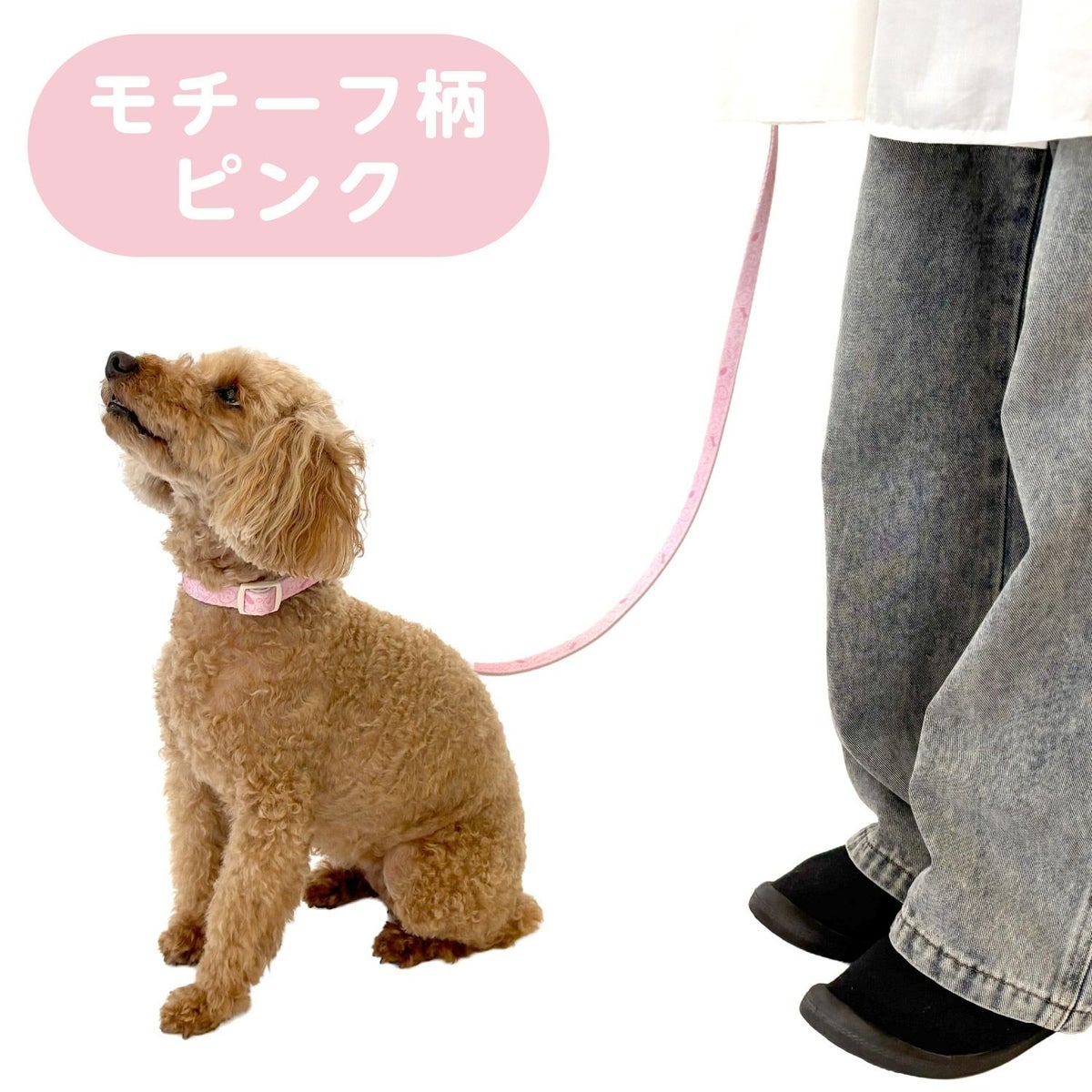 🌸 【預訂】Chiikawa 小型犬用 狗帶 