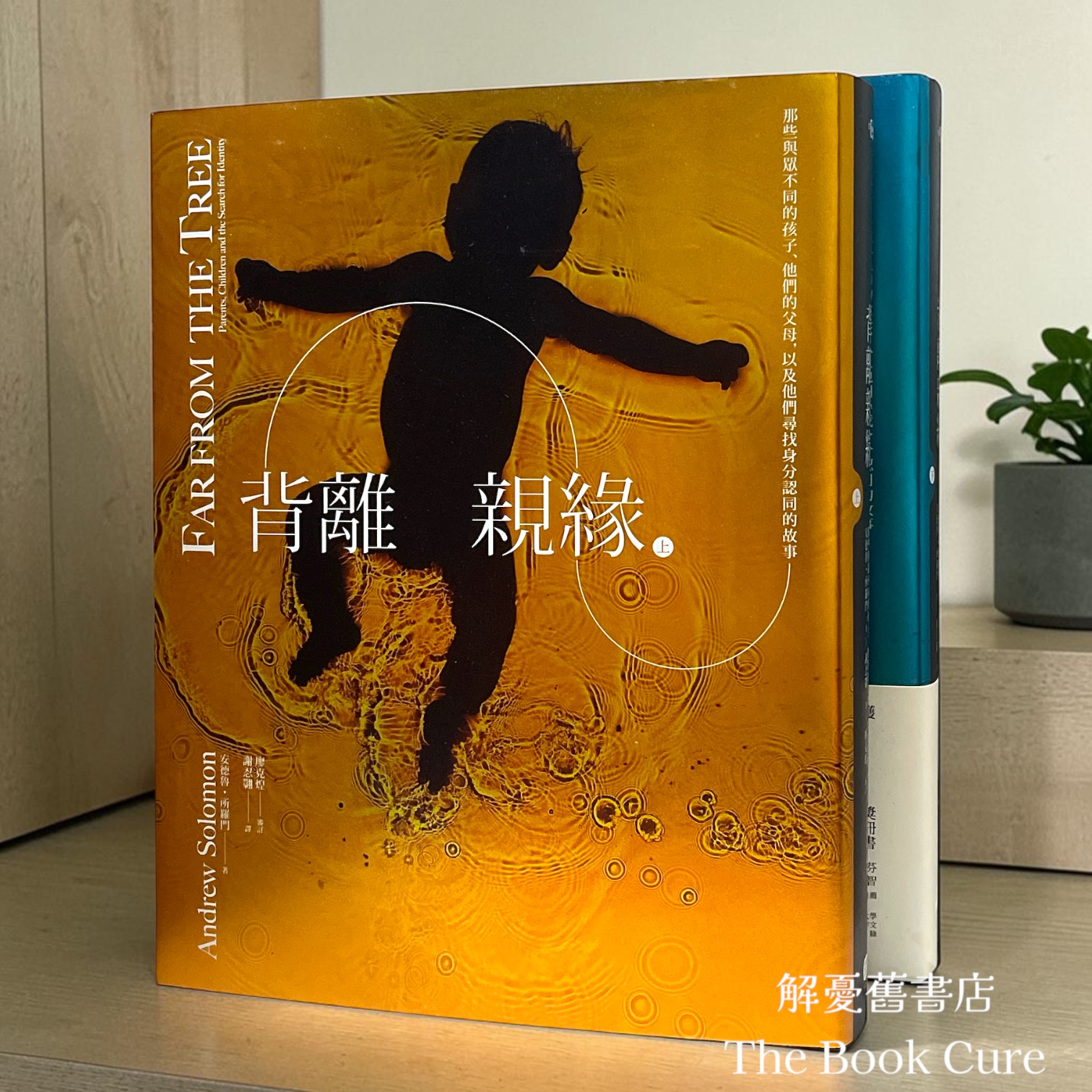 背離親緣：那些與眾不同的孩子、他們的父母，以及他們尋找身分認同的故事 上下冊 / 安德魯．所羅門 著