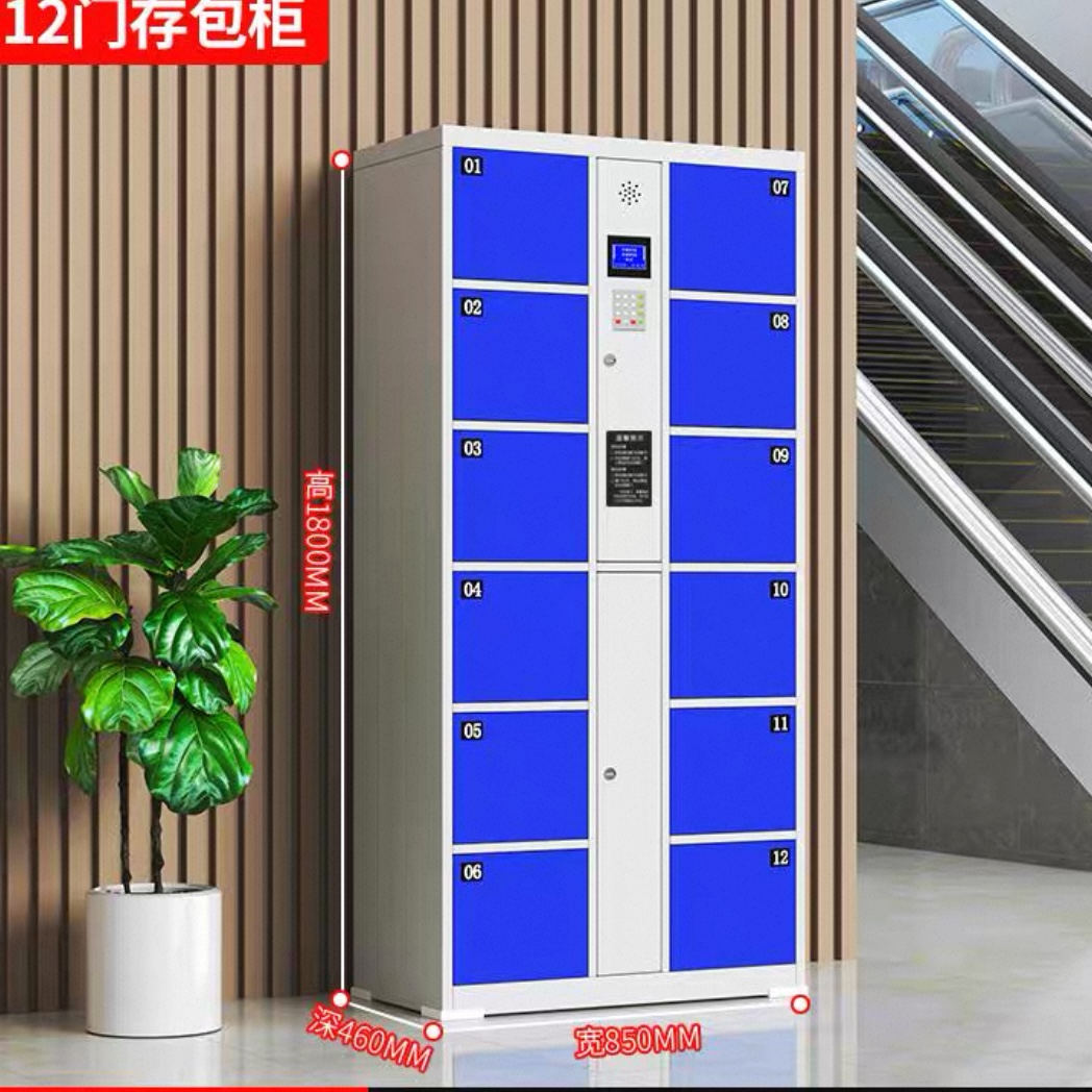 超市電子儲物櫃 學校商場人臉條碼智能寄存櫃 指紋掃碼儲物櫃 Storage locker