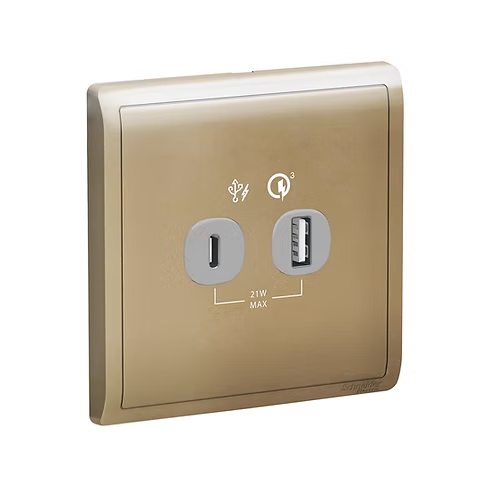 施耐德 Pieno 沉醉金 2位21W Type A+C USB充電 插座