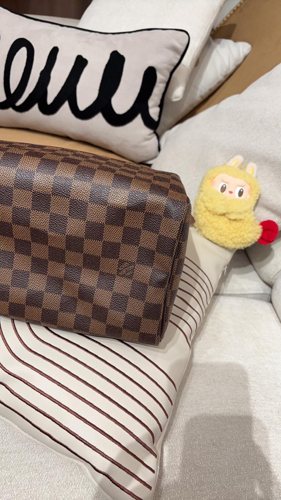LV Speedy 25 Damier 100%Authentic, 98%New ✅Dust bag