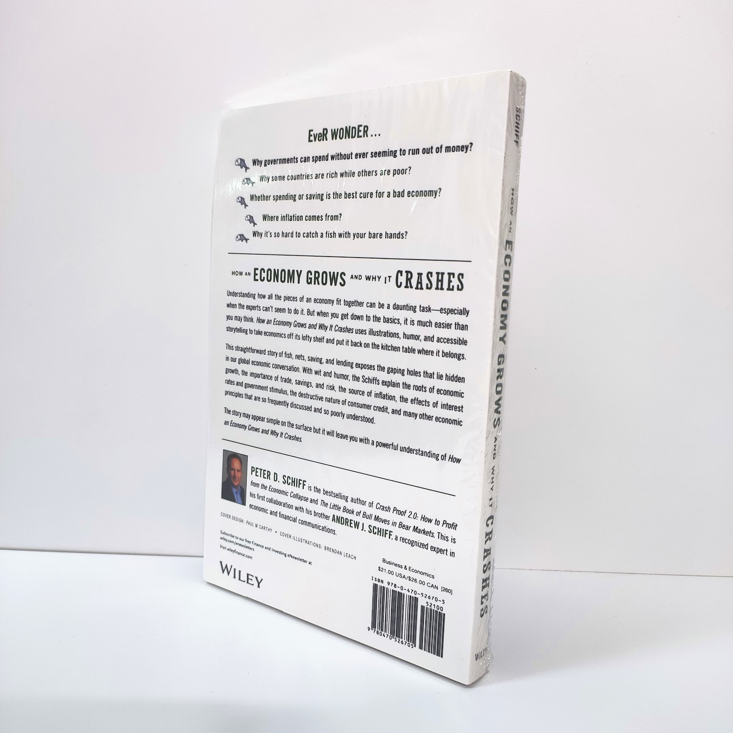 How an Economy Grows and Why It Crashes | A95