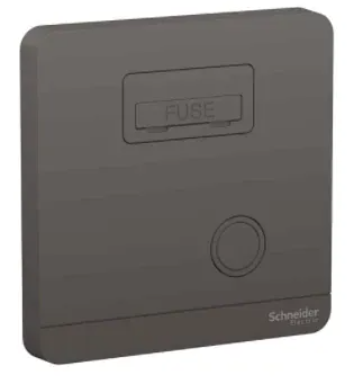 Schneider 施耐德 奐尚 13A 單位保險菲士蘇 E8330FSG_WG_C5