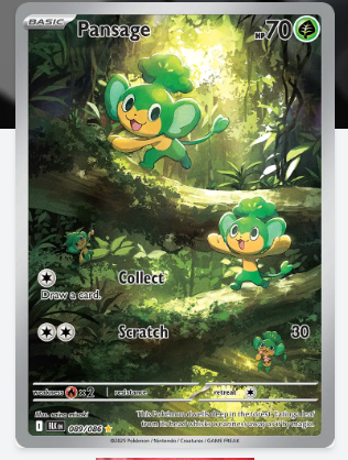 Pokemon TCG Card Game -BLACK-PANSAGE-089/086