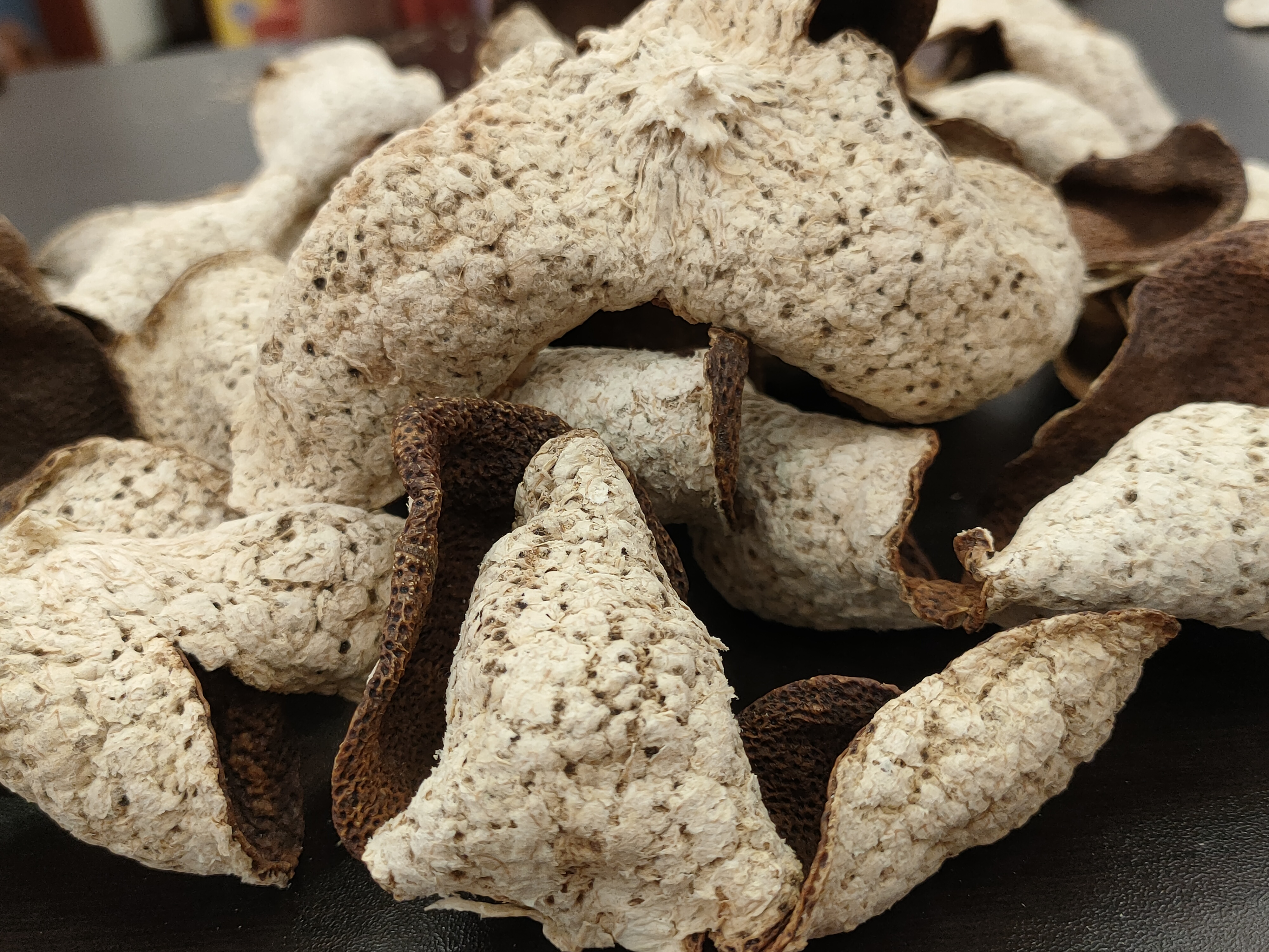 2015年 新會西甲大紅皮 - <有需要請聯絡我們 852-6329 6186>