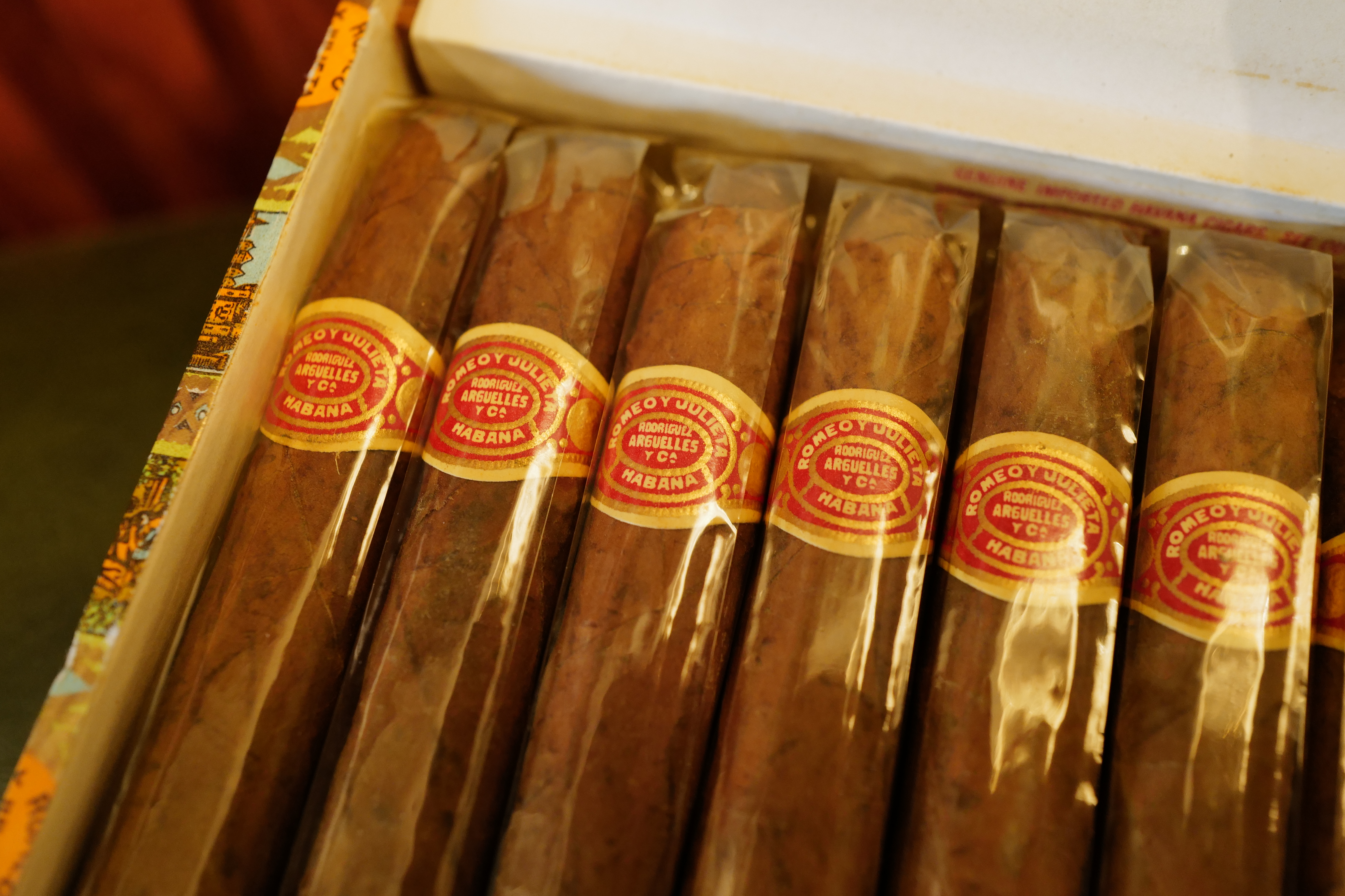 Romeo y Julieta Perfectos 1980s (羅密歐與朱麗葉 完美)