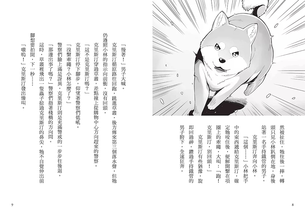 小熊 偵探犬克里斯1：追回失竊的珠寶