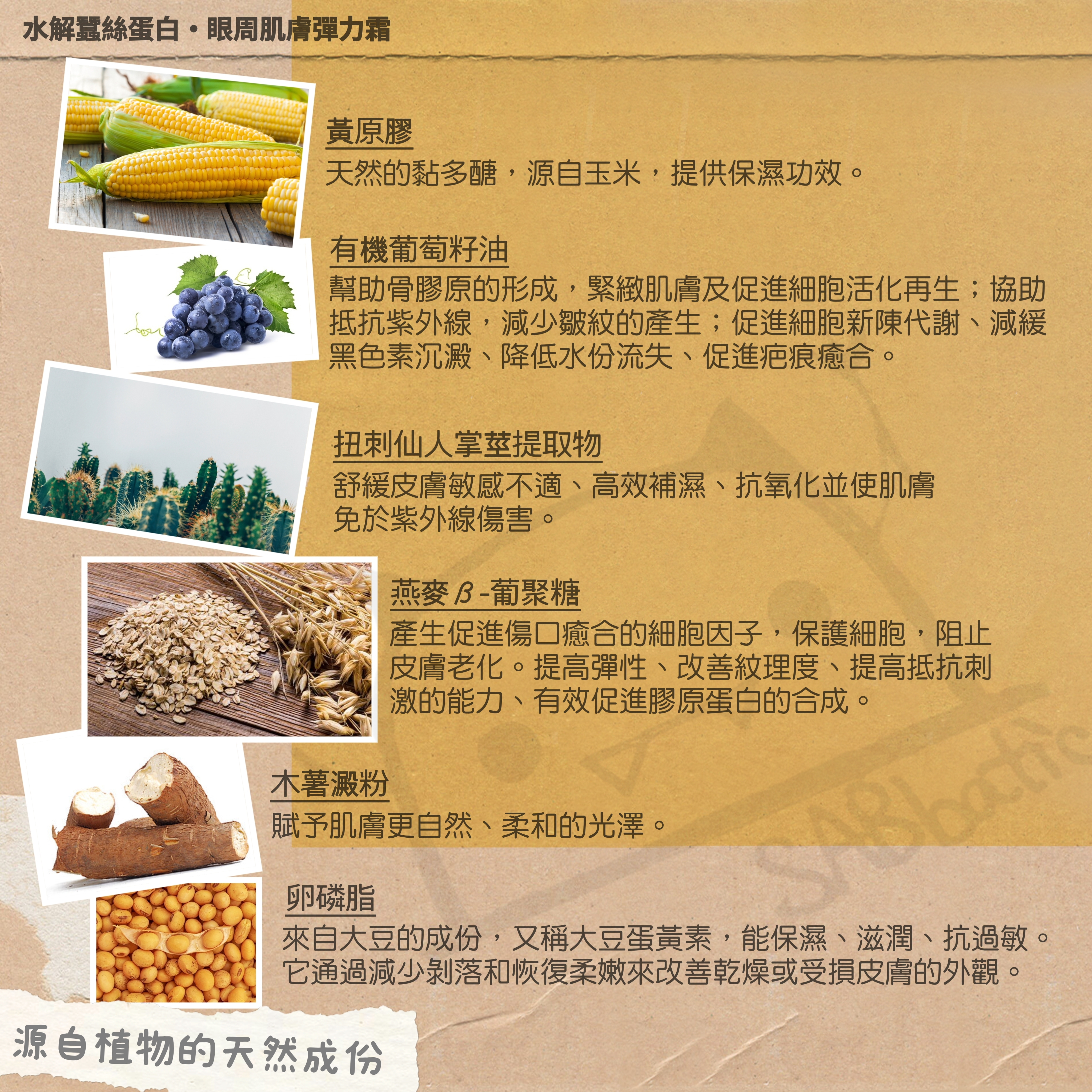 水解蠶絲蛋白·眼周肌膚彈力霜