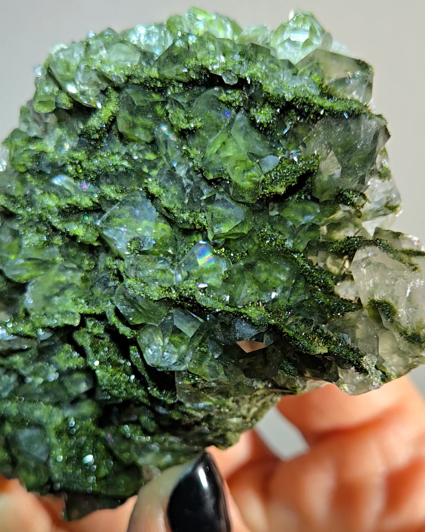 Epidote specimen with rainbow DT quartz - ED3