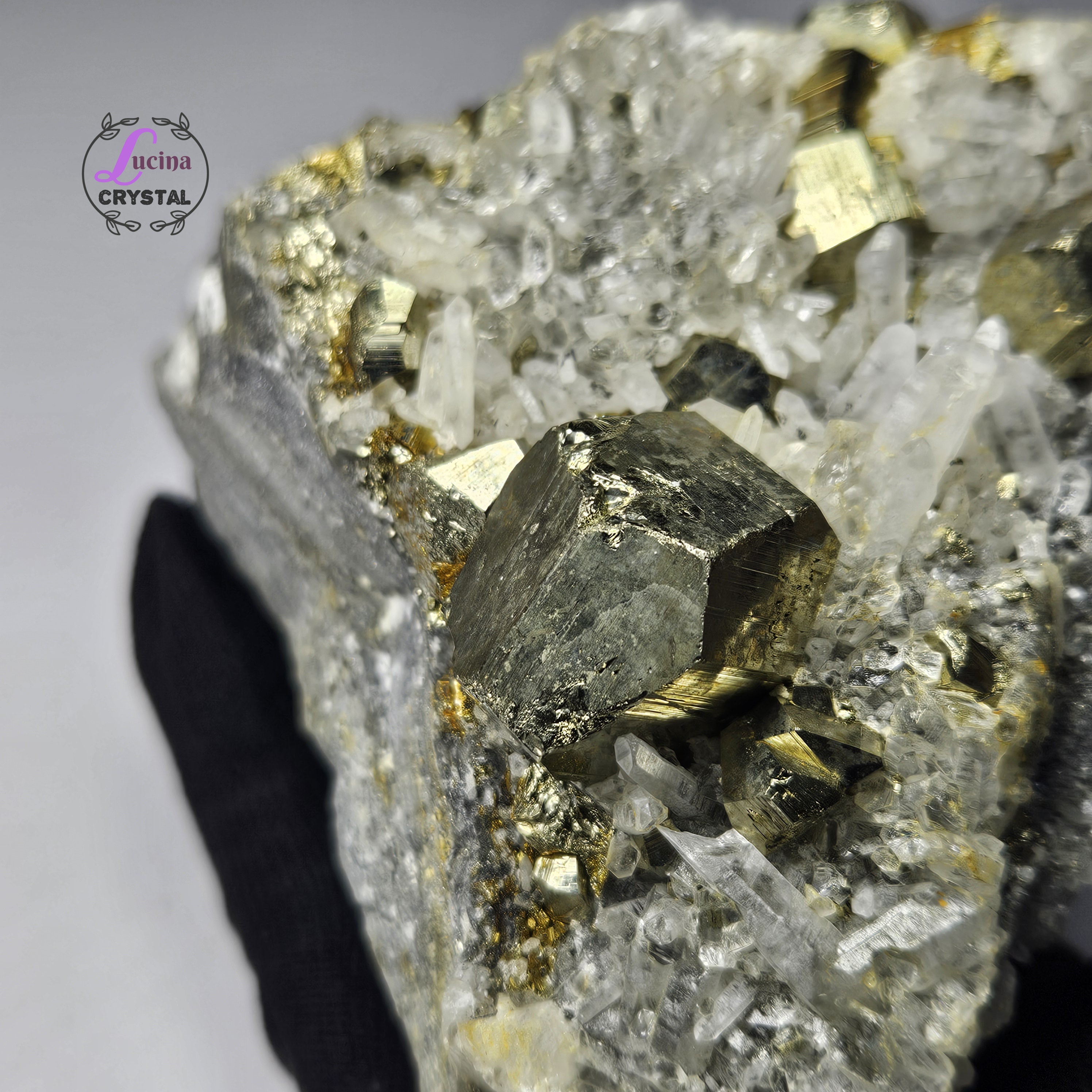 (Co#LC8546)白水晶共生黃鐵礦晶簇/White Quartz Crystal Cluster with 𝘗𝘺𝘳𝘪𝘵𝘦