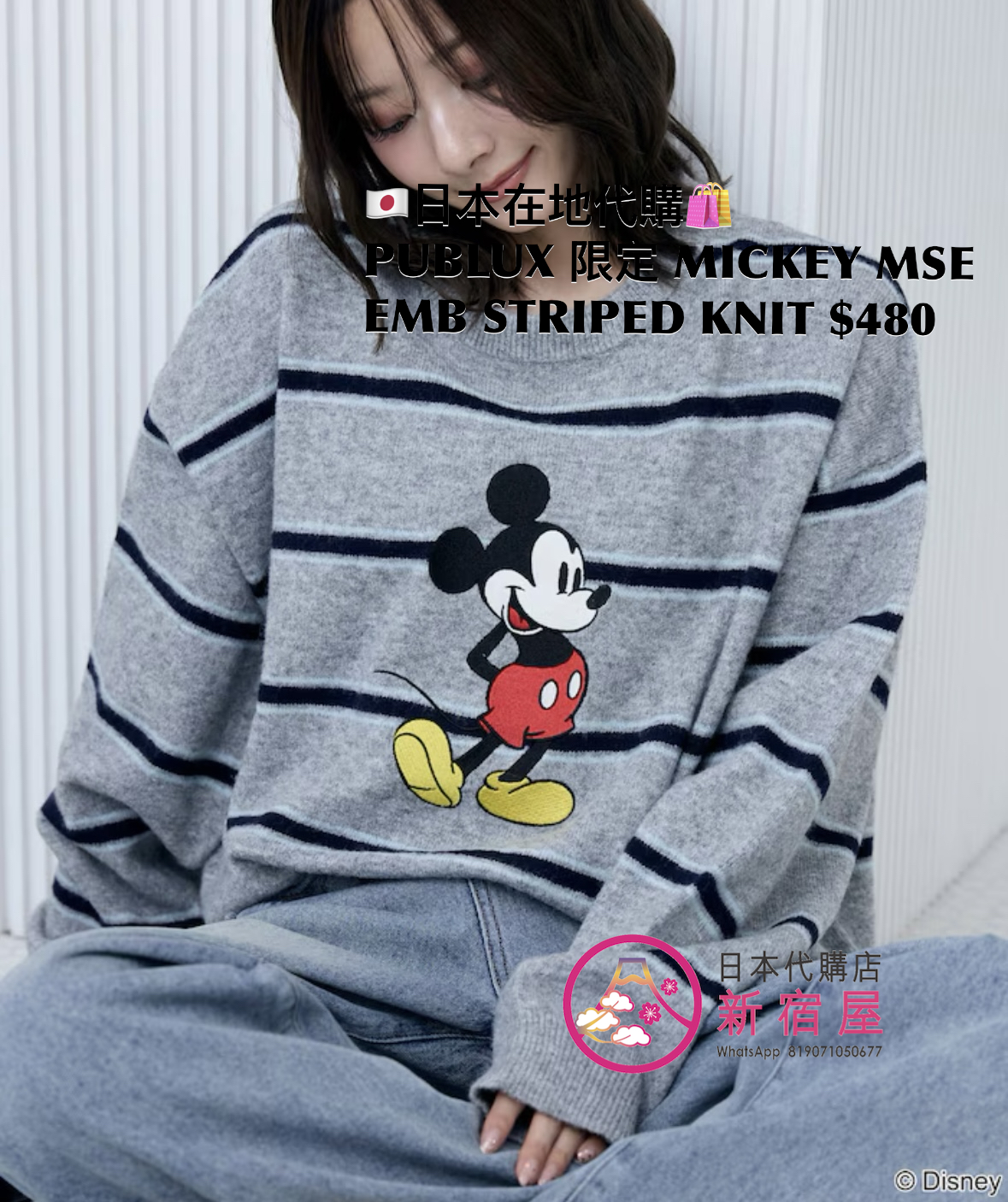 PUBLUX 限定 MICKEY MOUSE EMBROIDERY STRIPED KNIT