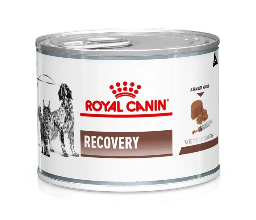 皇家犬糧/貓糧 恢復期超軟慕斯獸醫配方罐頭