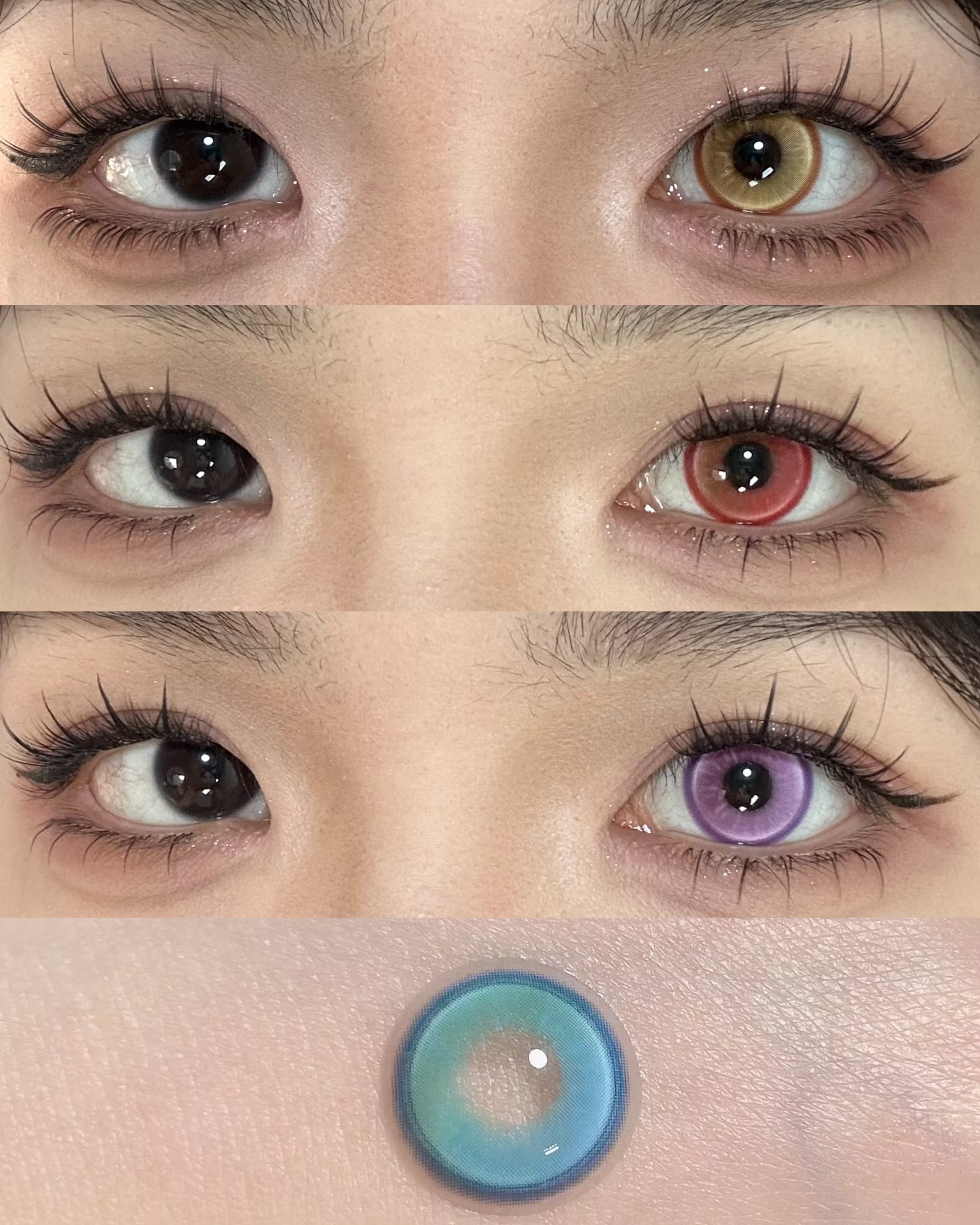 Yukicon 日拋2片 金色鯉魚/藍色水母/紅色珊瑚/紫色雲朵