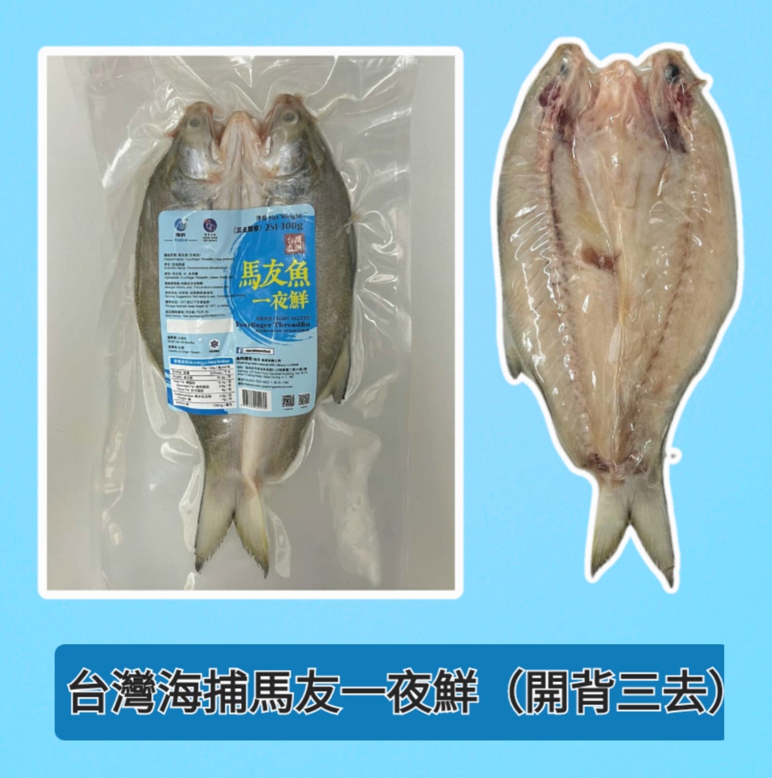 台灣海捕馬友一夜鮮（開背三去）