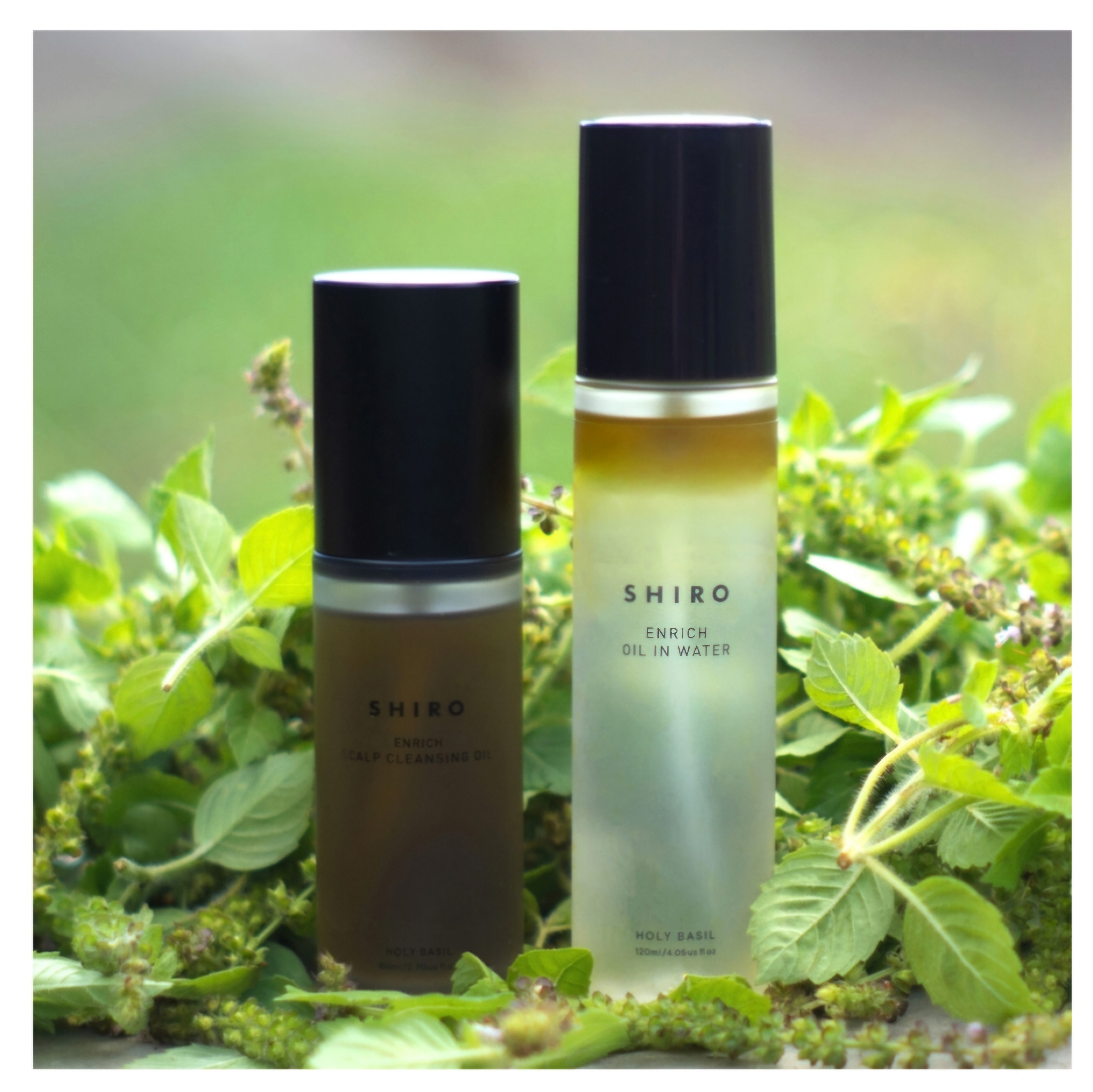 【限量發售】【✨️日本🇯🇵 SHIRO Holy Basil 系列 Enrich Oil In Water 聖羅勒修護油水精華✨️】120ml  