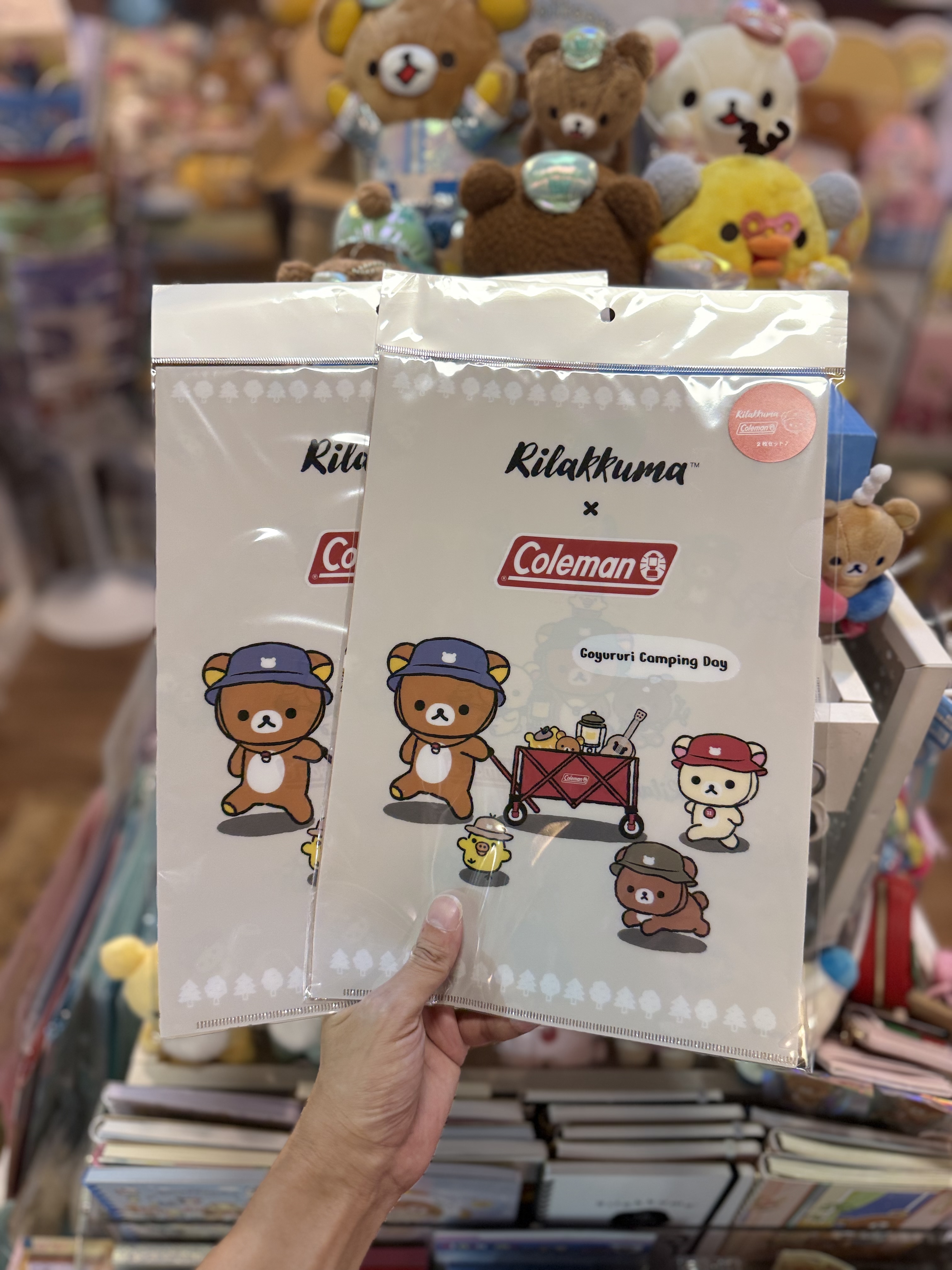《現貨》全新日本專店限定 rilakkuma  x Coleman 對裝A4 file
